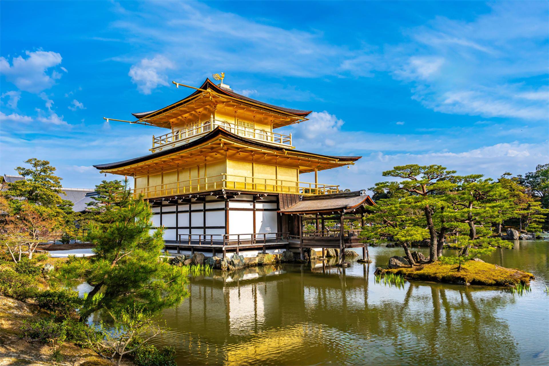 Kiyomizu-dera, Kinkaku-ji, and Fushimi Inari One-Day Tour - Thumbnail 10