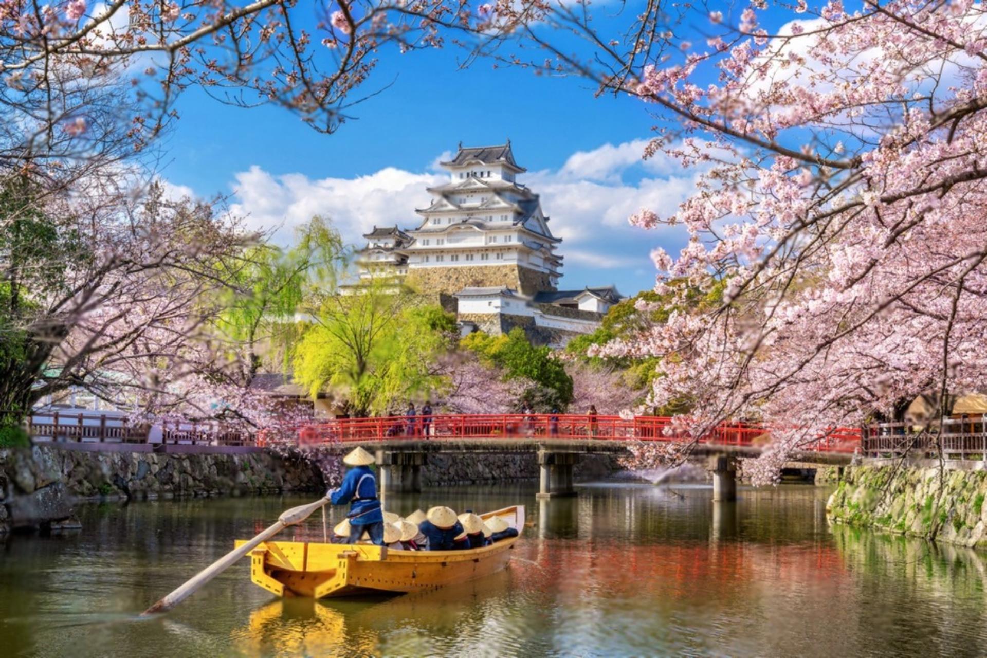 Osaka Private Full-Day City Highlights Tour - Thumbnail 10