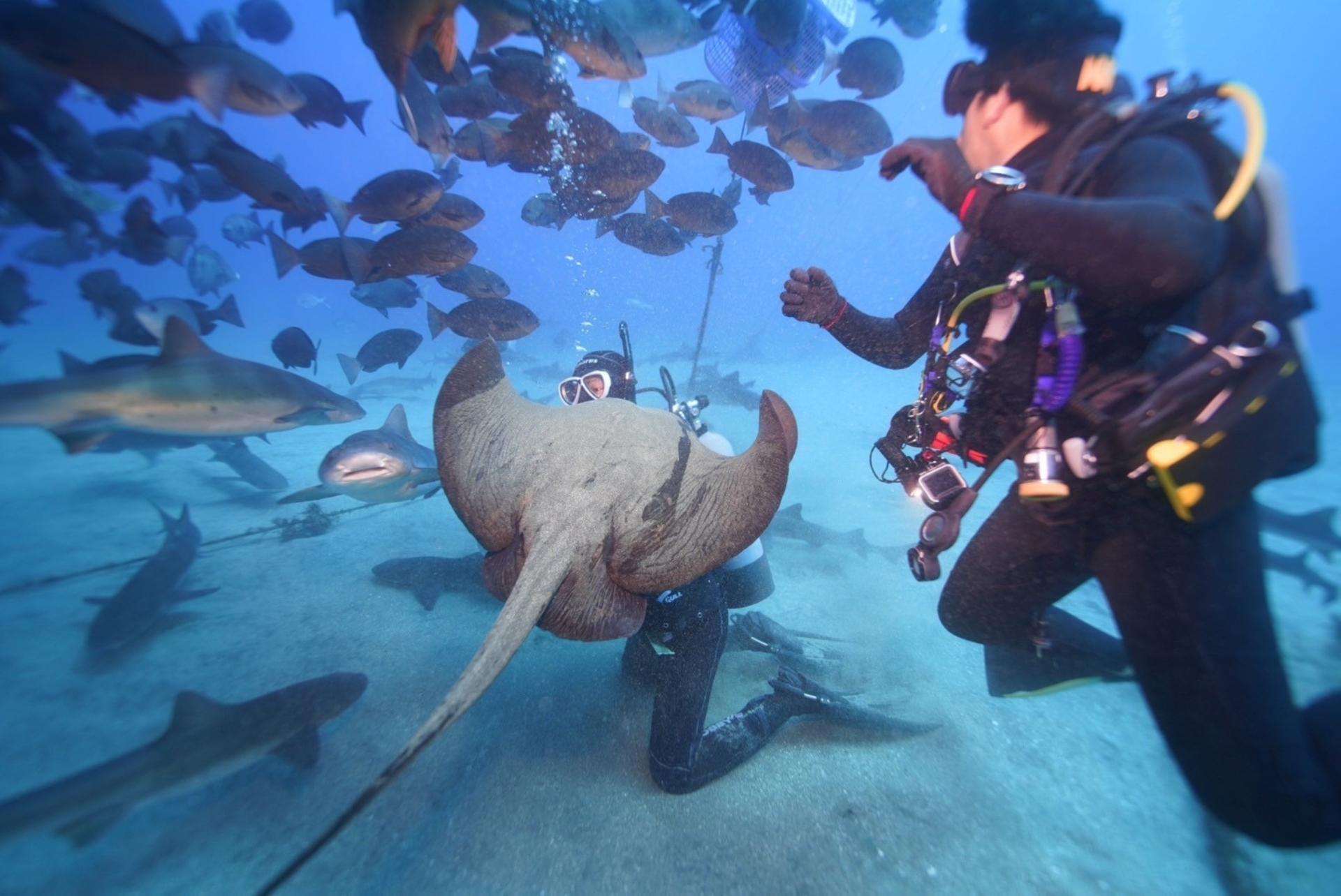 Izu Kogen Diving School Shibuya Branch - Thumbnail 5