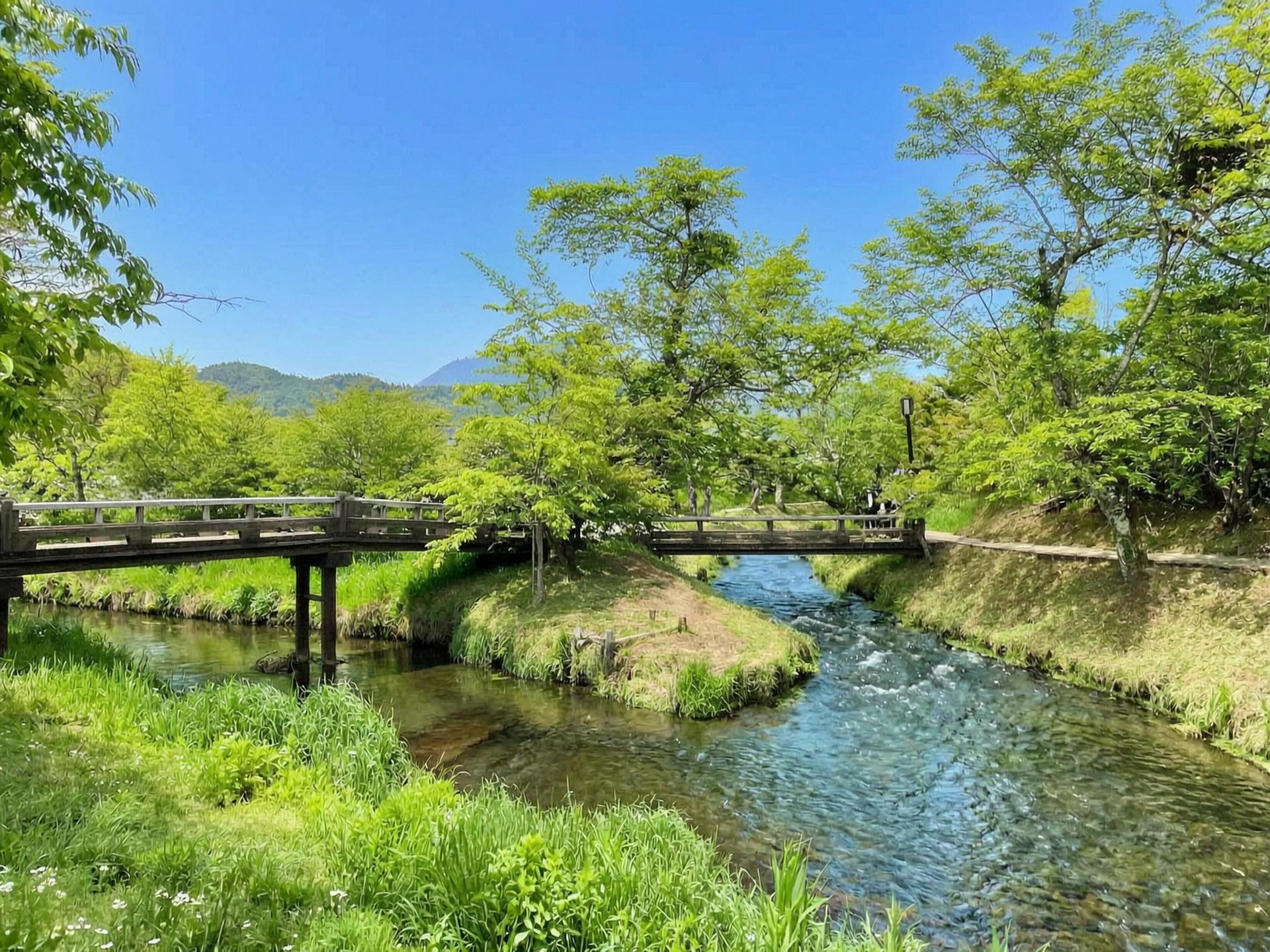 Mount Fuji Brilliant Scenery One-Day Tour (Departing from Tokyo) - Thumbnail 41