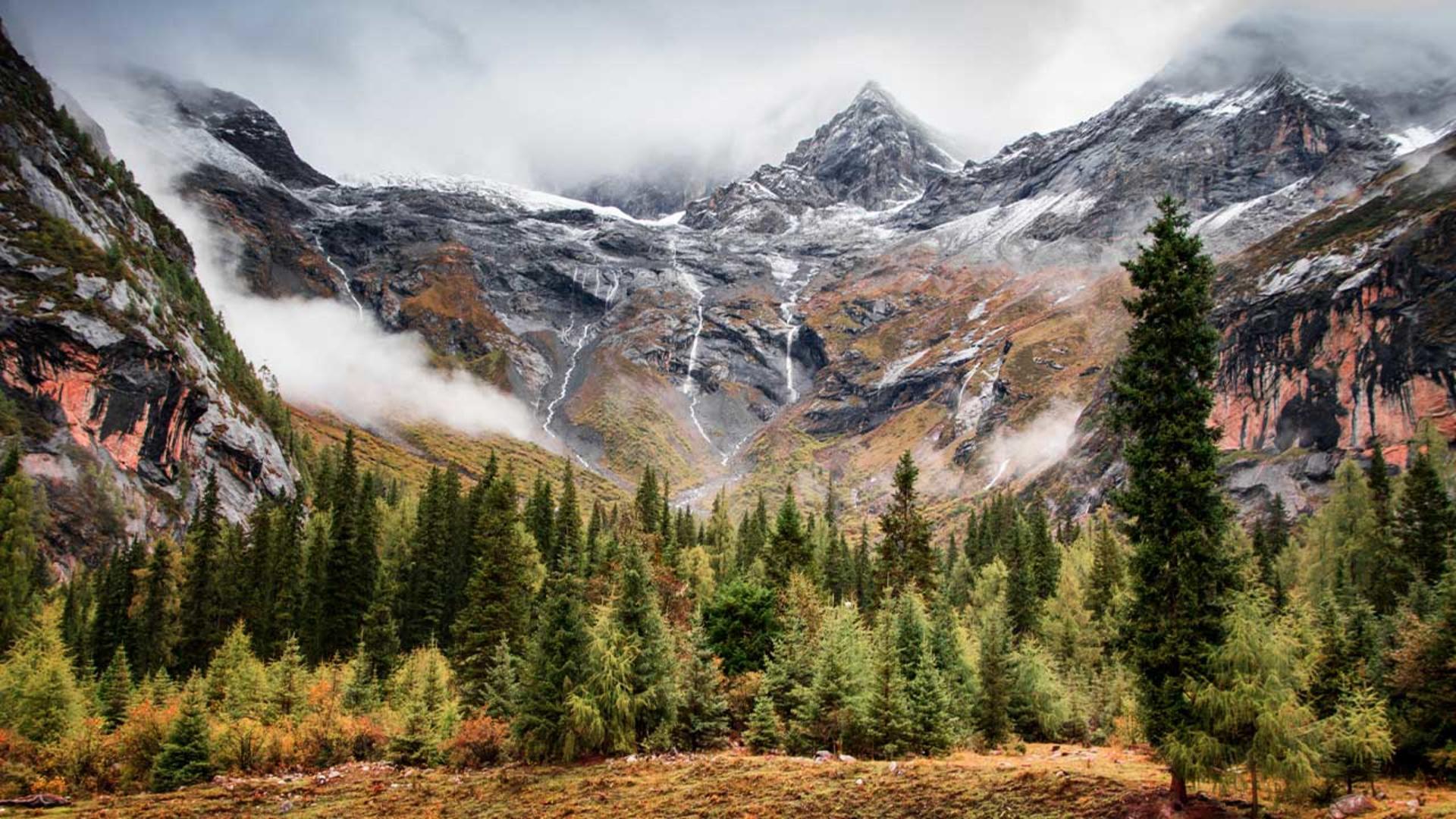 Optional Mount Siguniang Shuangqiaogou/Bipenggou Private Day Tour (Round Trip from Chengdu City) - Thumbnail 3