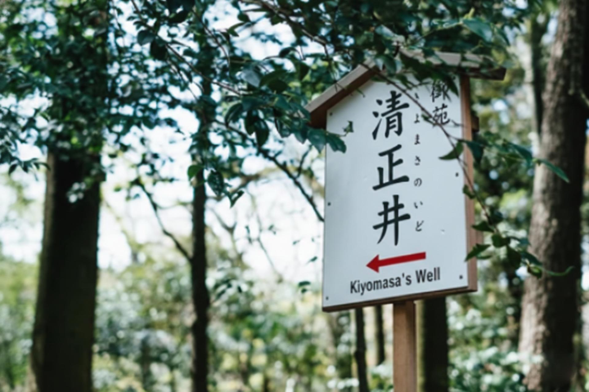 Tokyo: Meiji Shrine & Shinto Culture Walking Tour - Thumbnail 19