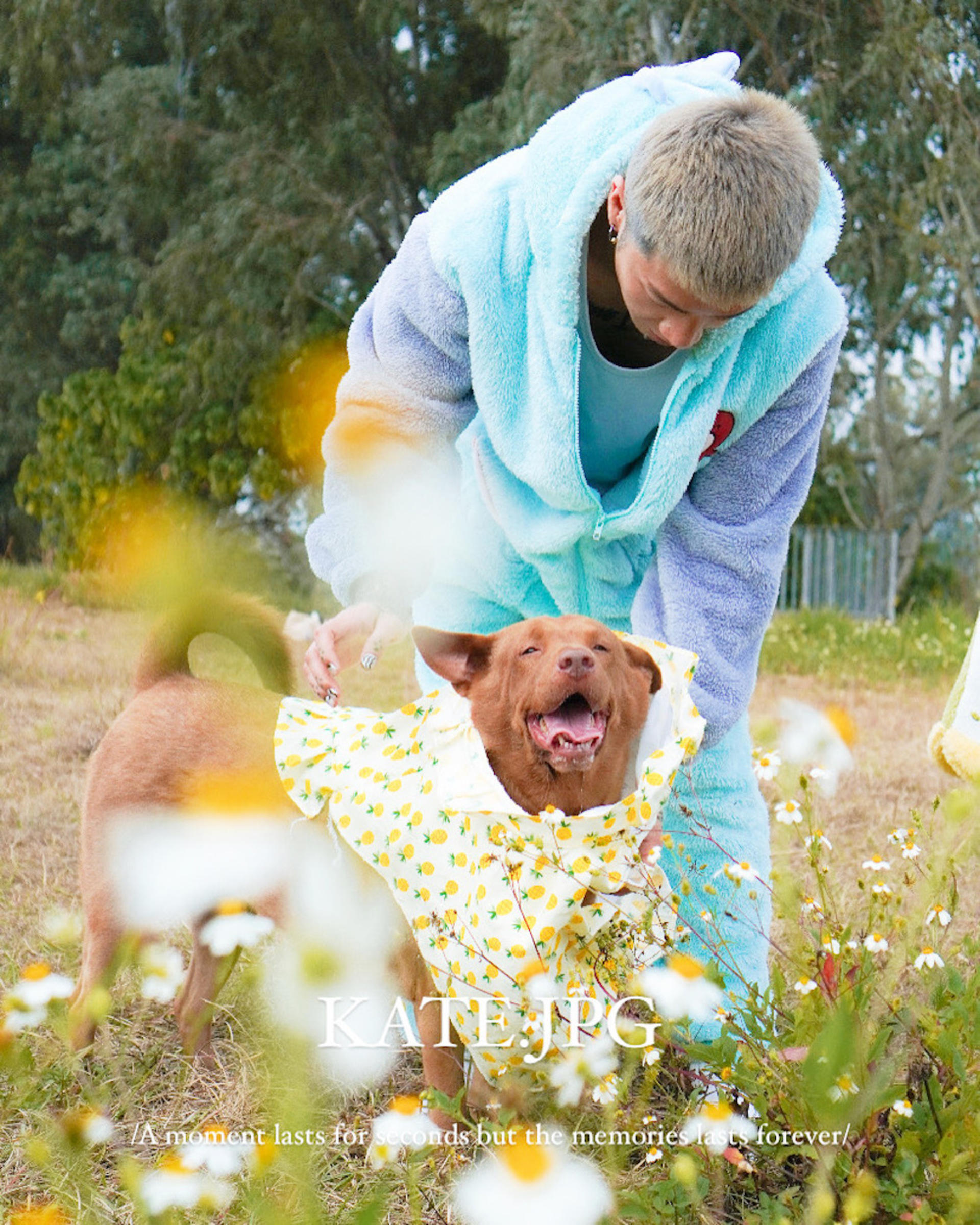 Kate.jpggg - Pet Photography (Custom Location - 2-Hour Shoot) - Image 1