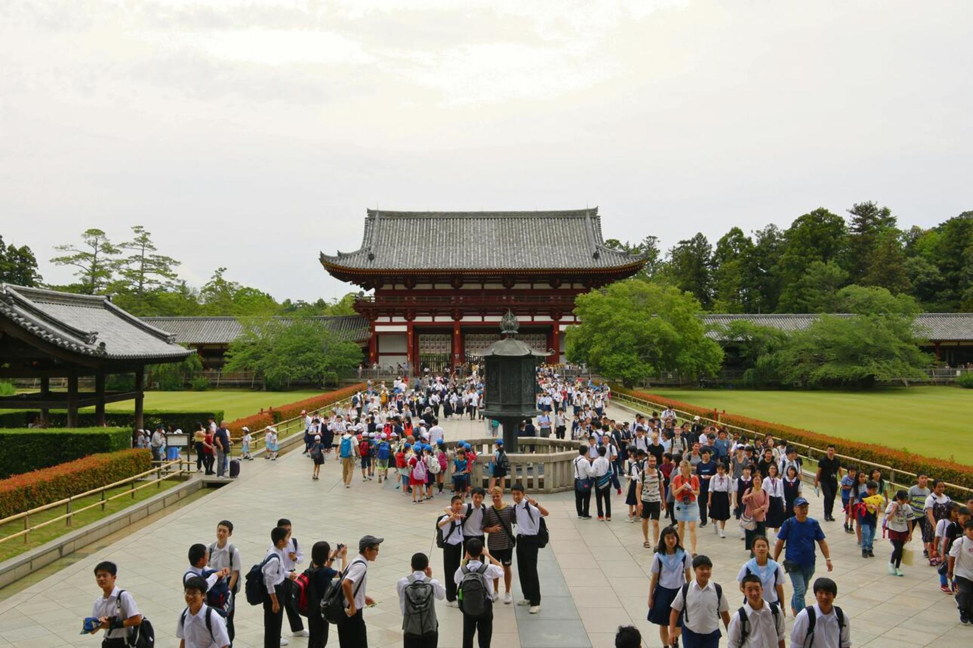 Discover Himeji, Kobe and Nara from Osaka - Thumbnail 17