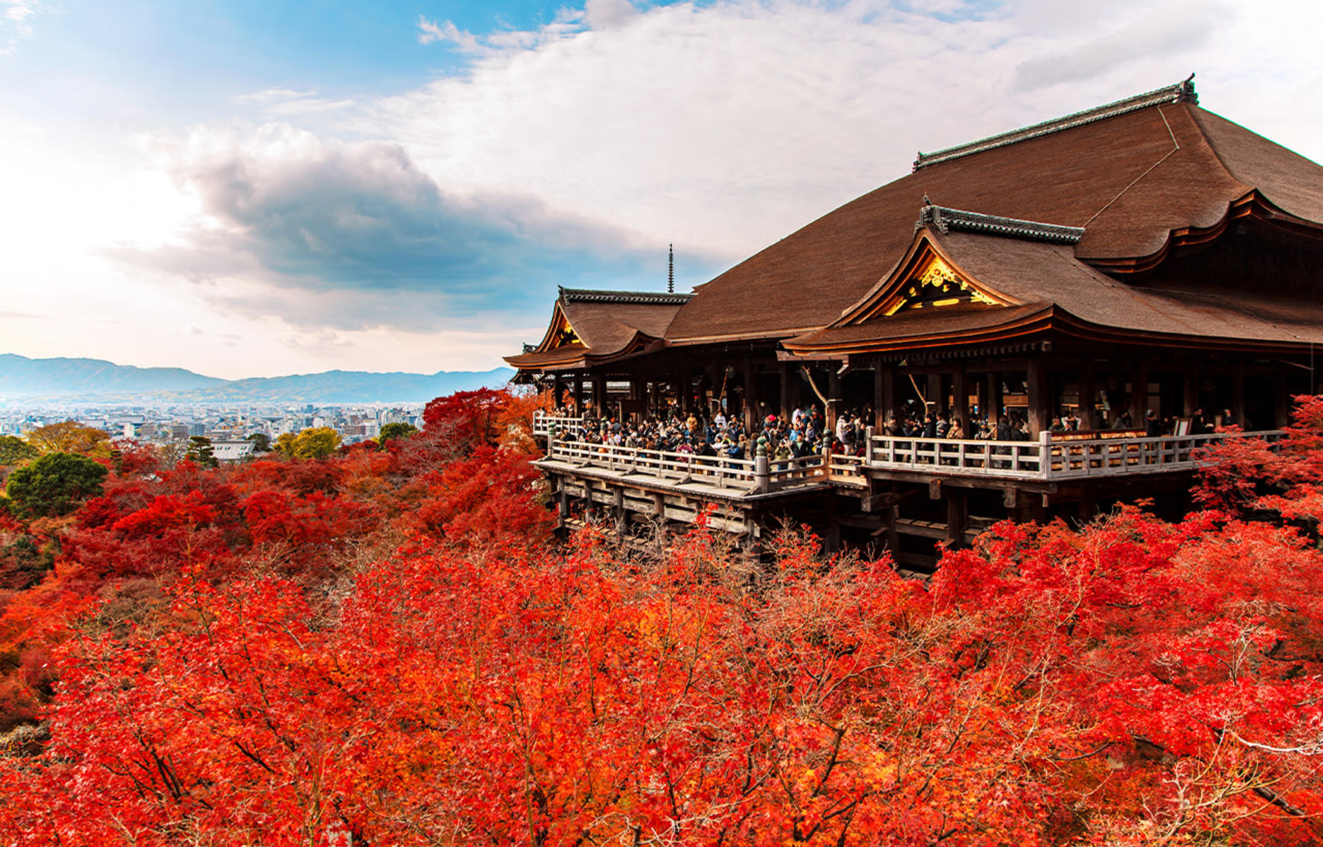 Kyoto & Nara & Amanohashidate 2-Day Tour - Free Shrimp Sticks for Feeding Seagulls (Accommodation Not Included) - Image 1