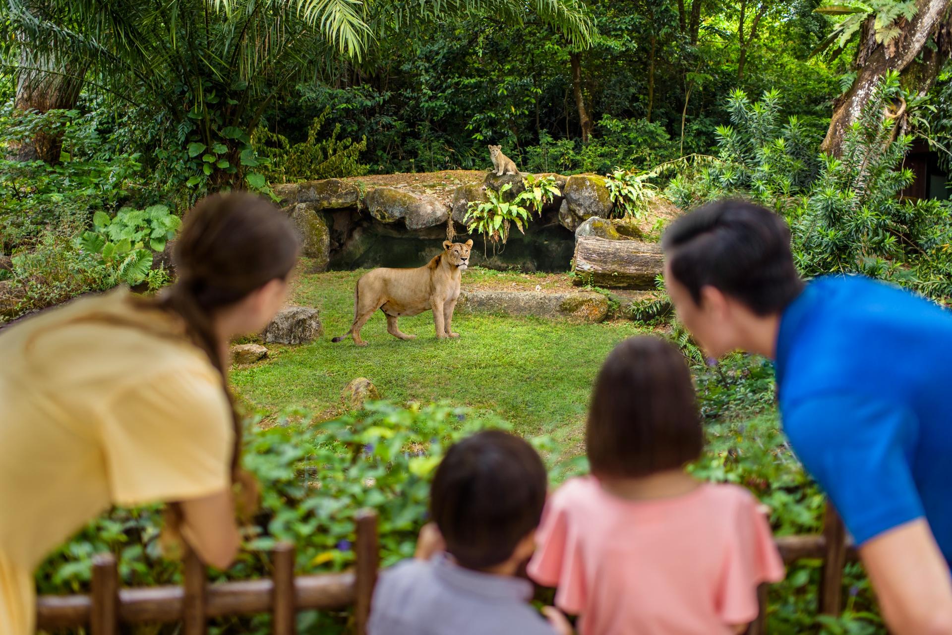 Singapore Zoo Ticket | Mandai Wildlife Reserve, Singapore - Thumbnail 20