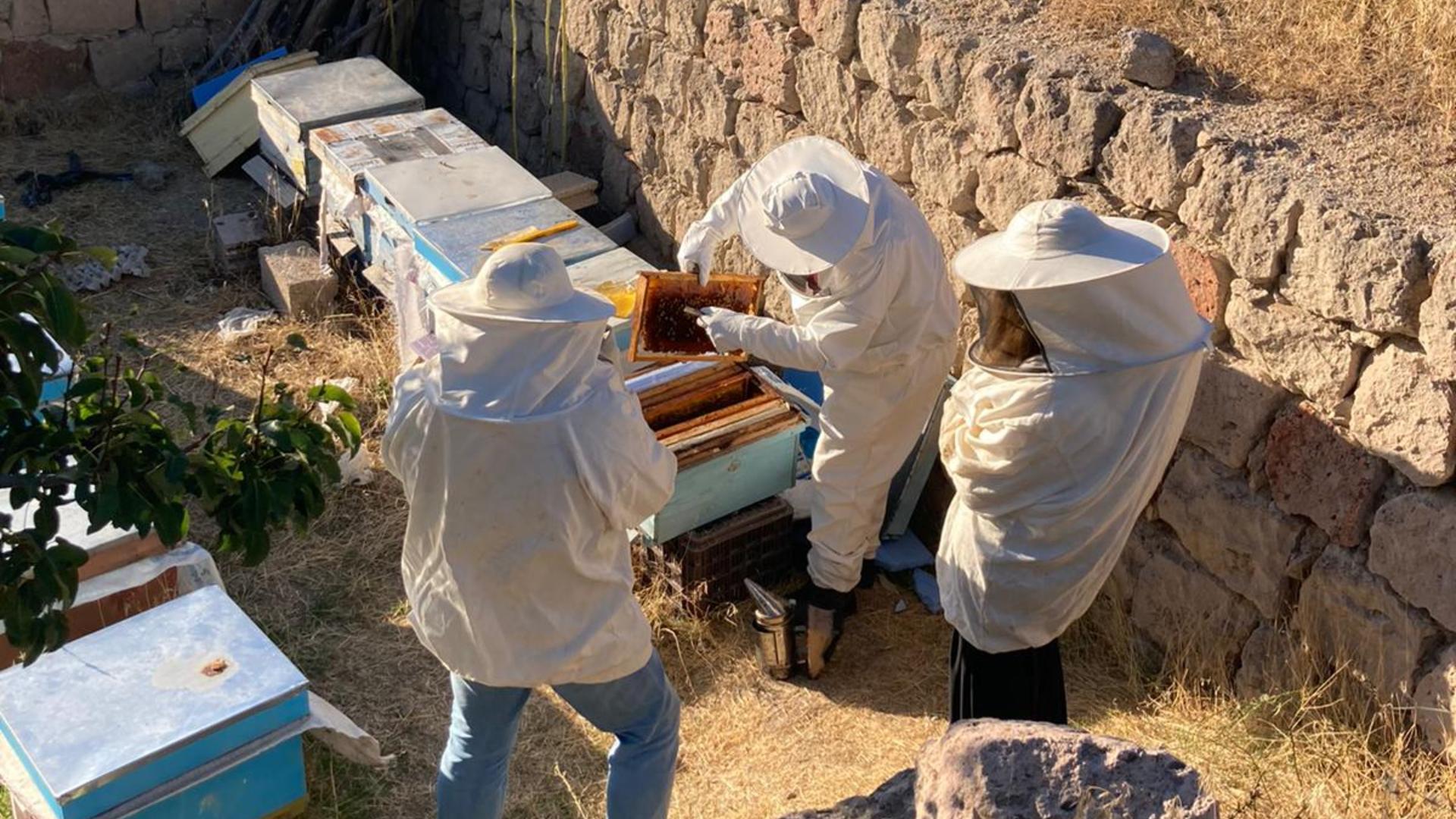 Beekeeping Experience with Honey Tasting in Cappadocia - Thumbnail 3
