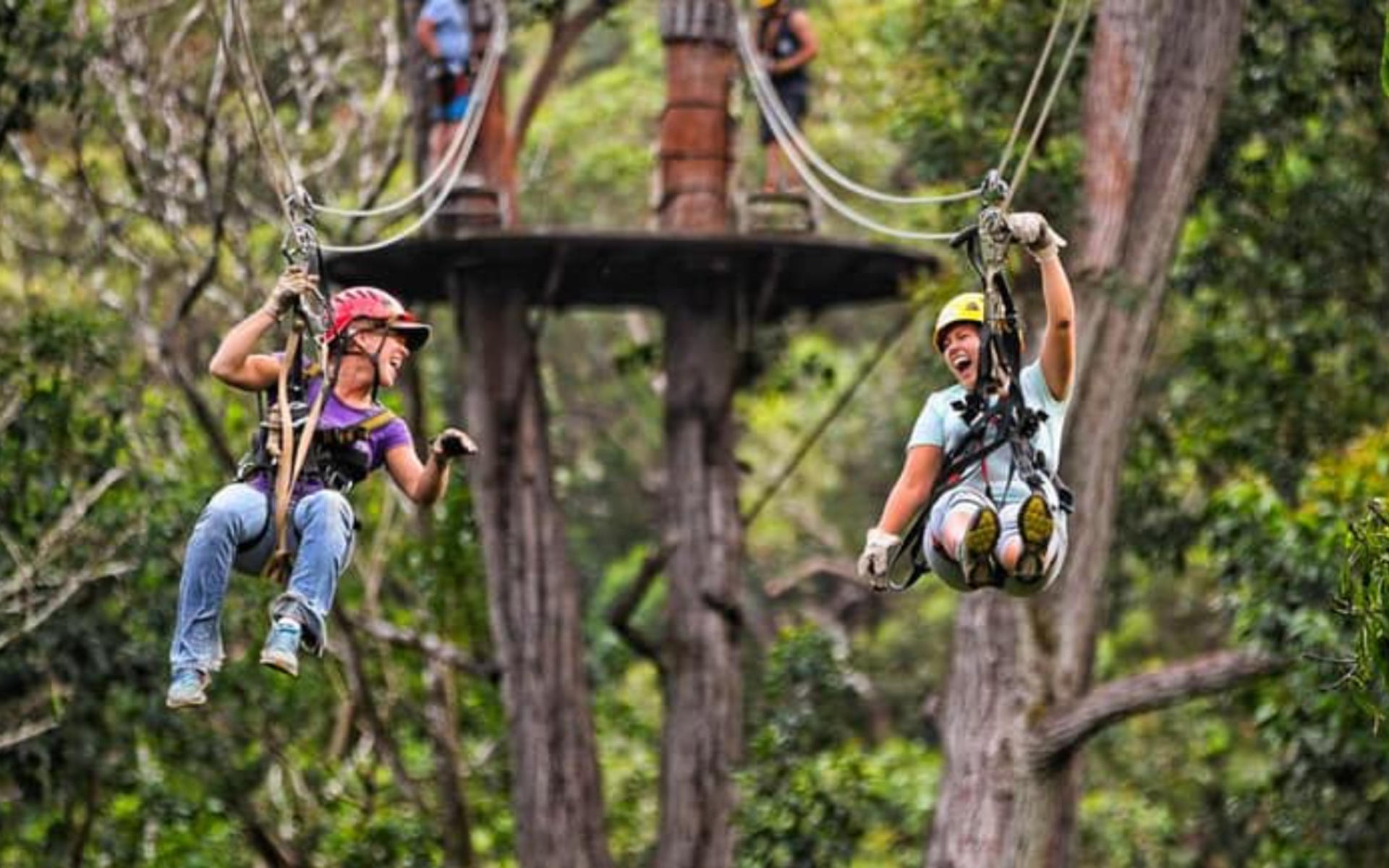 Kohala Zip & Dip Experience - Thumbnail 2