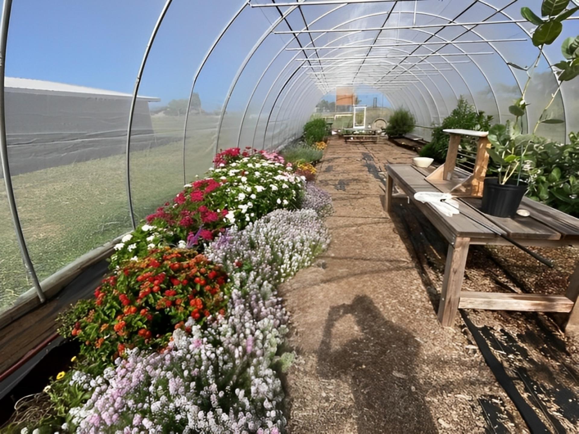 Haiku Butterfly Garden Tour - Thumbnail 3