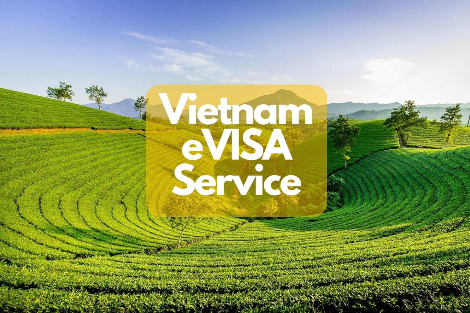 Vietnam e-Visa Service for International Tourist - Image 1