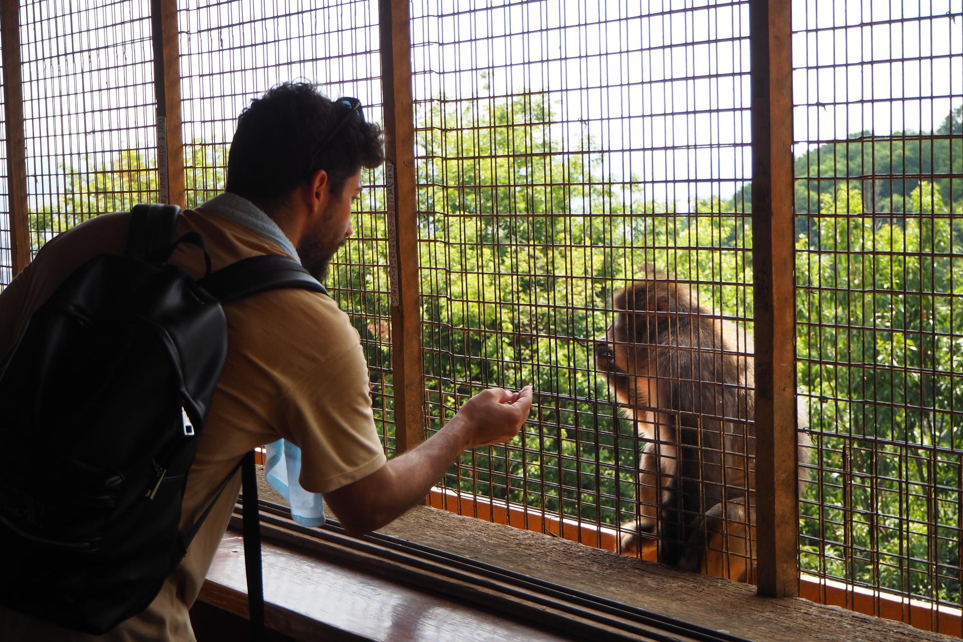 Kyoto City, Western Kyoto & Arashiyama:In-Depth 1-Day Cultural Tour - Thumbnail 18