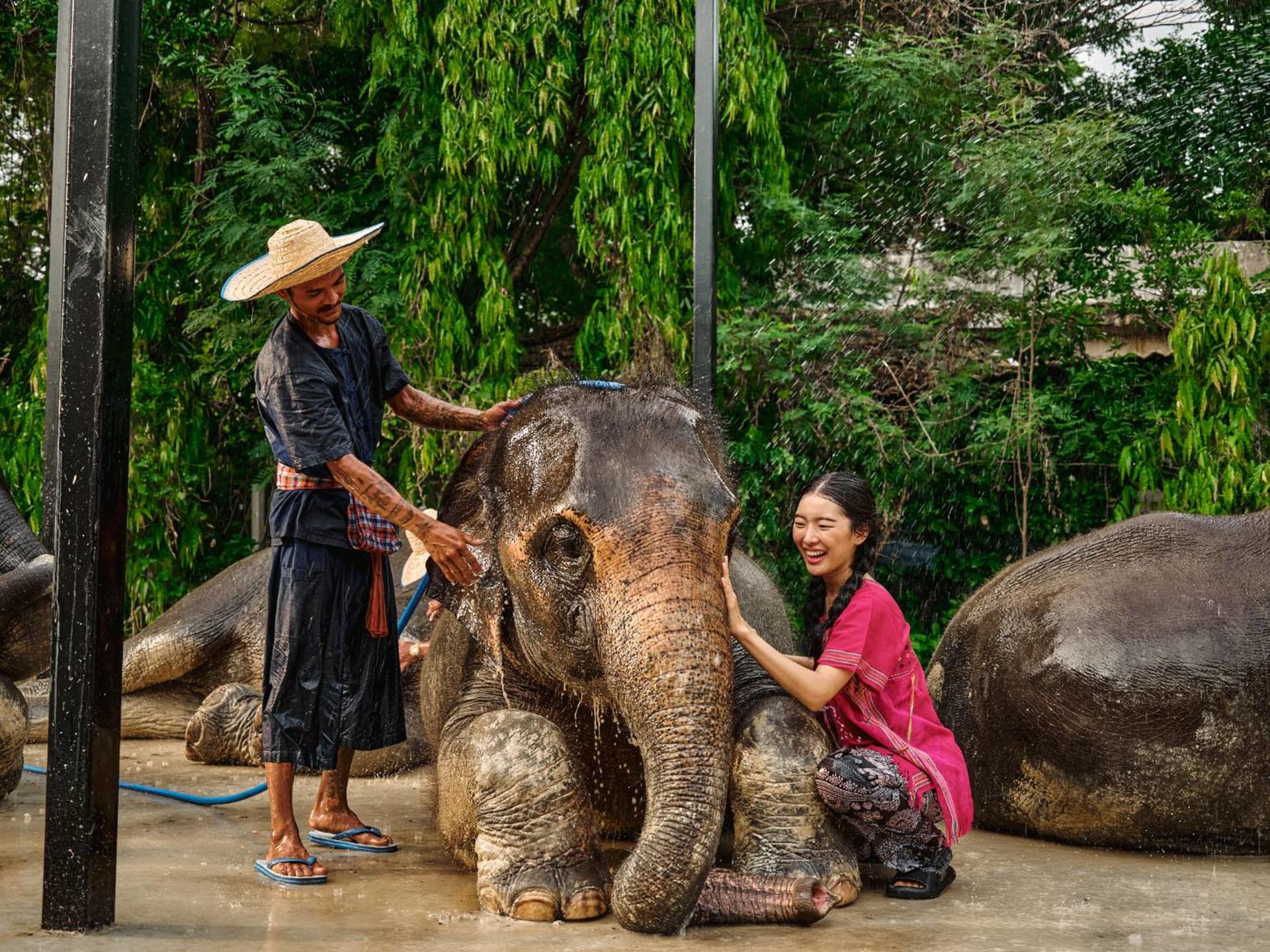 Bangkok Elephant Park and Grand Palace Full Day Tour - Thumbnail 5