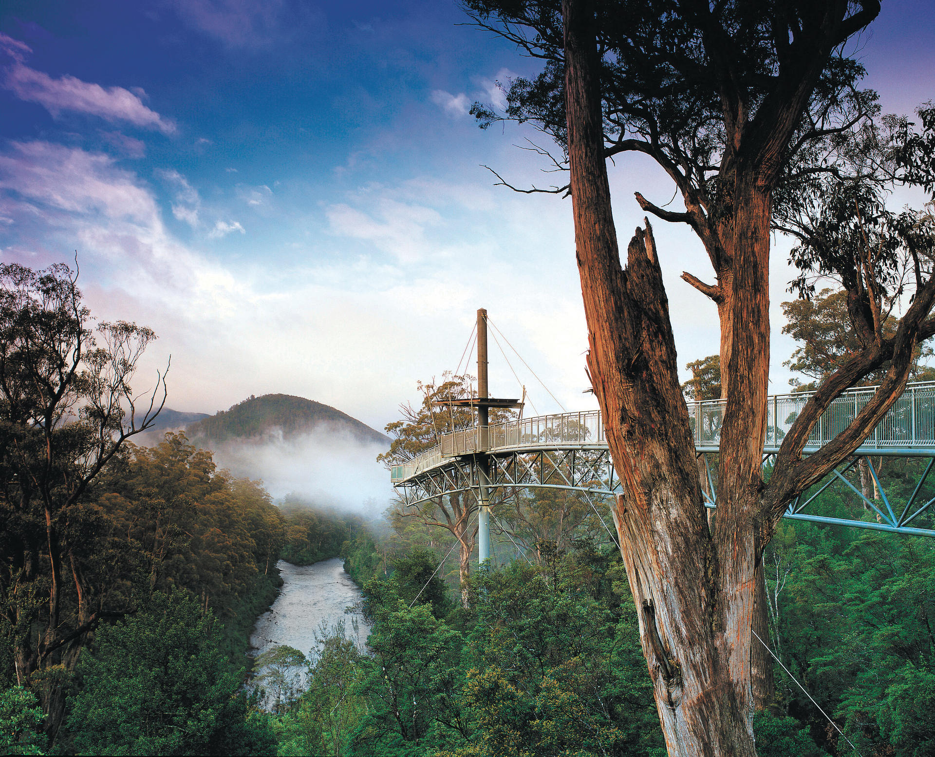 Hastings Cave, Tahune Airwalk and Huon Tasting Day Tour - Image 1