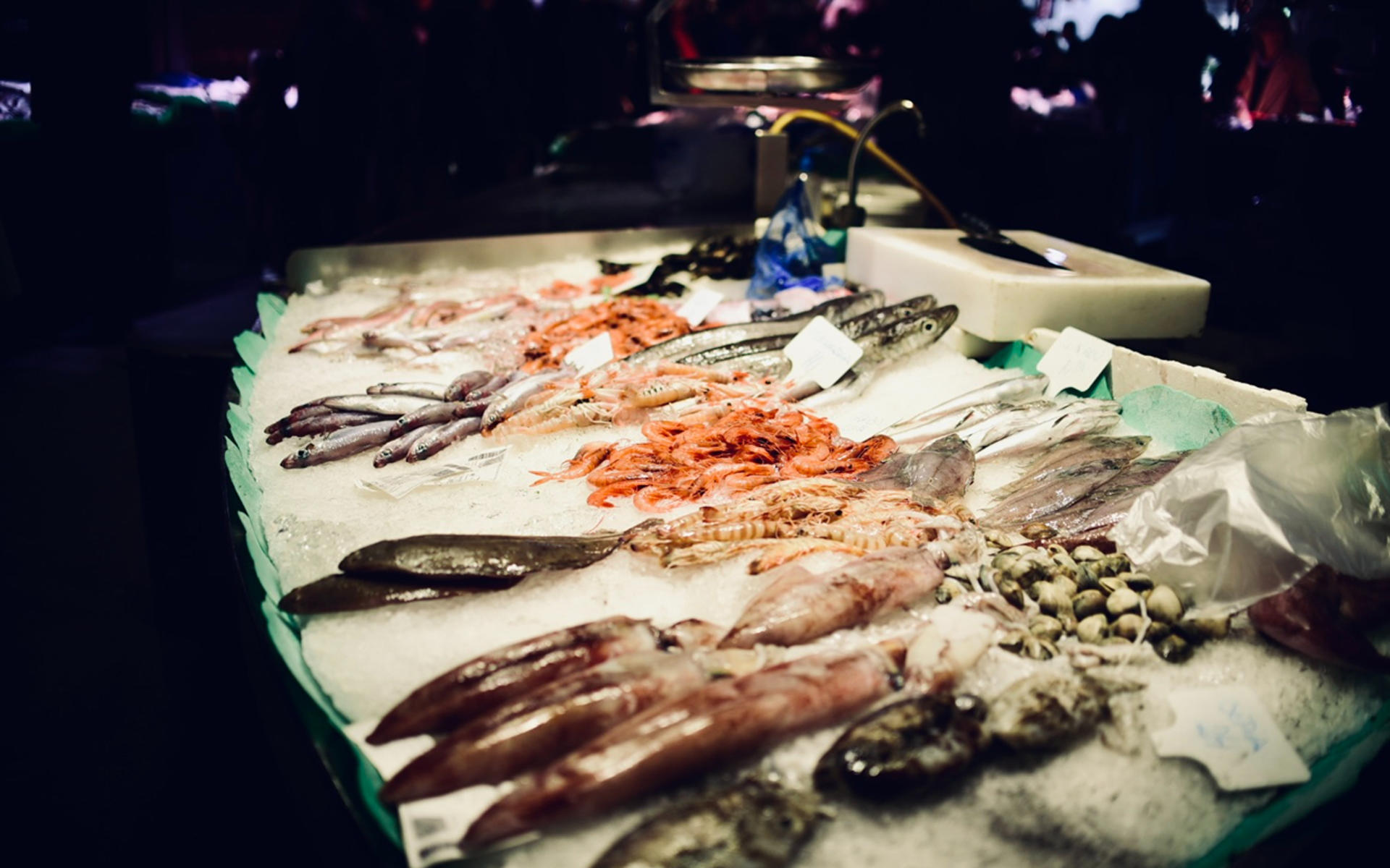 Seafood paella, tapas, and sangria making experience in Barcelona - Thumbnail 6