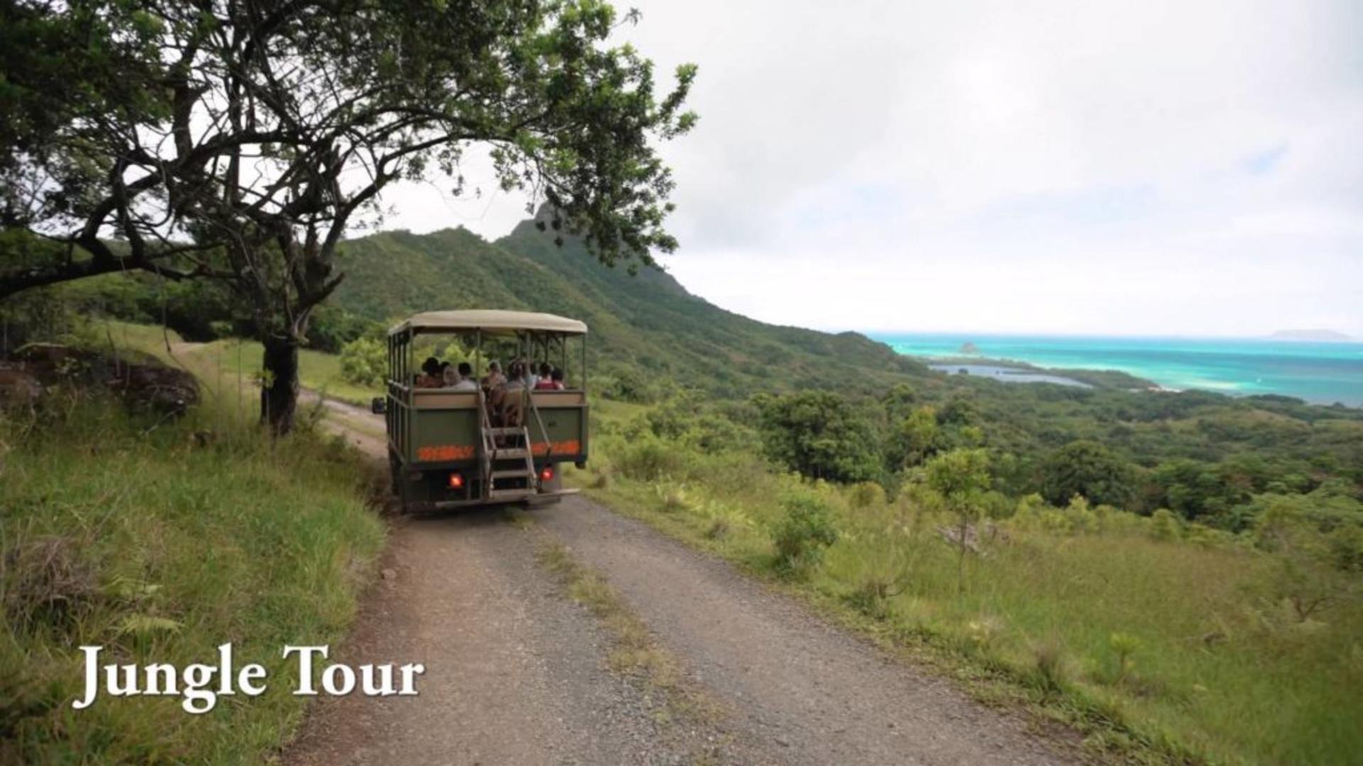 Kaneohe Hakipu u Rainforest Jungle Expedition - Thumbnail 7