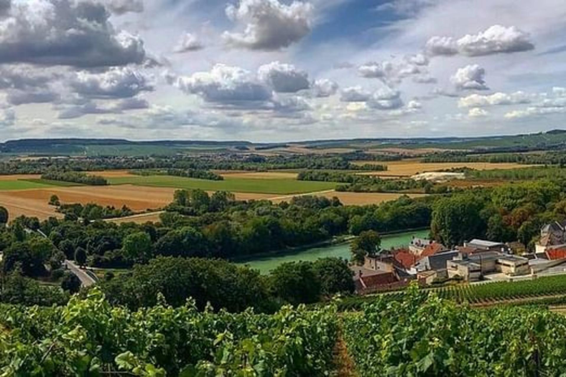 Morning Champagne & family growers (From Reims)  - Thumbnail 4