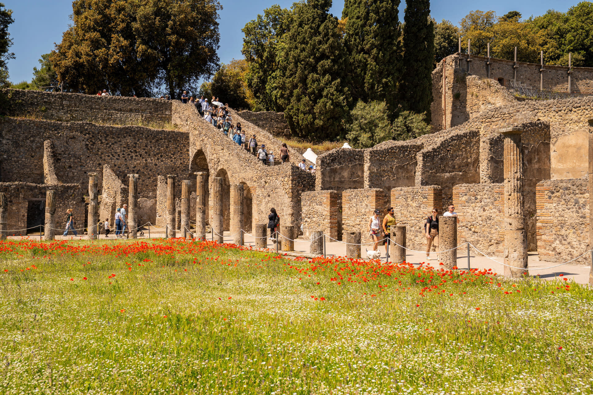 Pompeii Unveiled: Guided Tour Through Time and Memory - Thumbnail 9