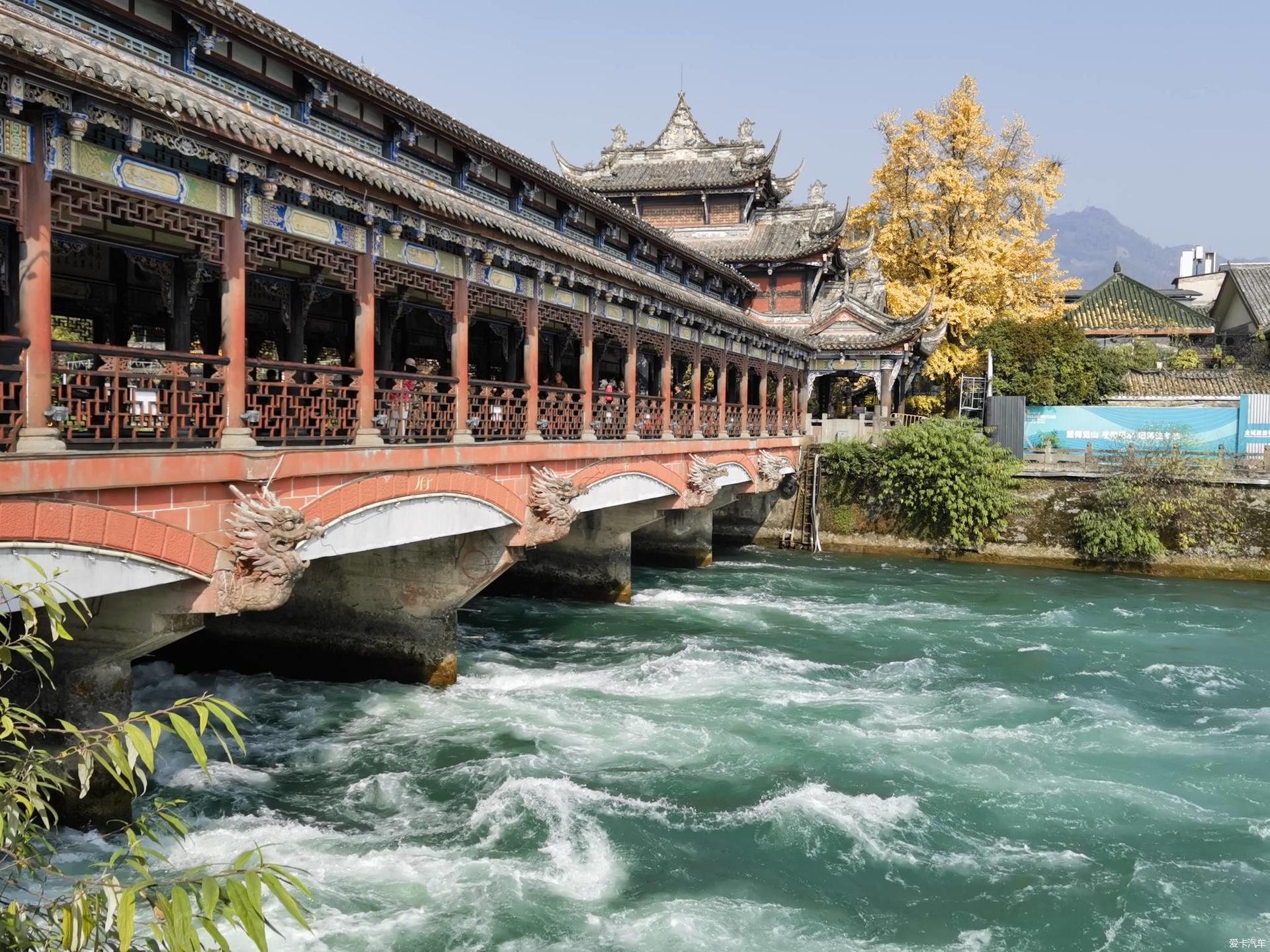 Chengdu Panda Base and Dujiangyan Private Day Tour - Thumbnail 4