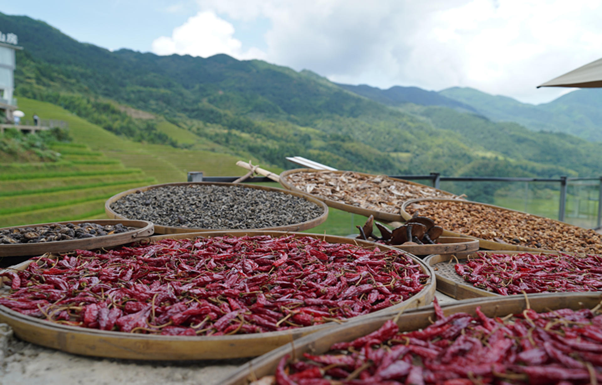 Guilin Longji Rice Terraces Day Tour (Chinese/English Guide) - Thumbnail 4