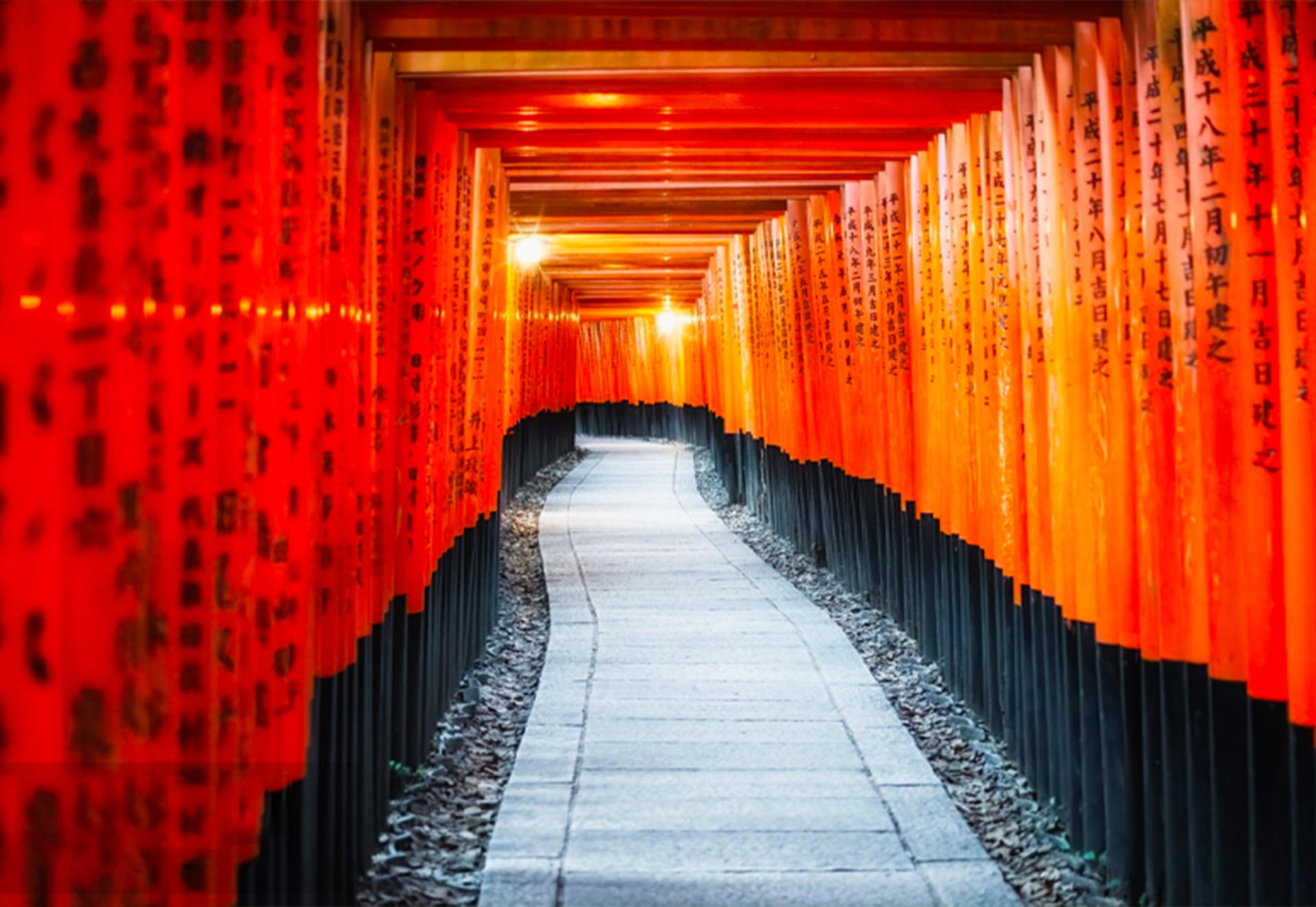 9-person Small Group Tour | Nara Park・Fushimi Inari-taisha・Arashiyama Moonlit Road One-Day Tour | Osaka Departure with Optional Hotel Pick-up and Drop-off - Thumbnail 3