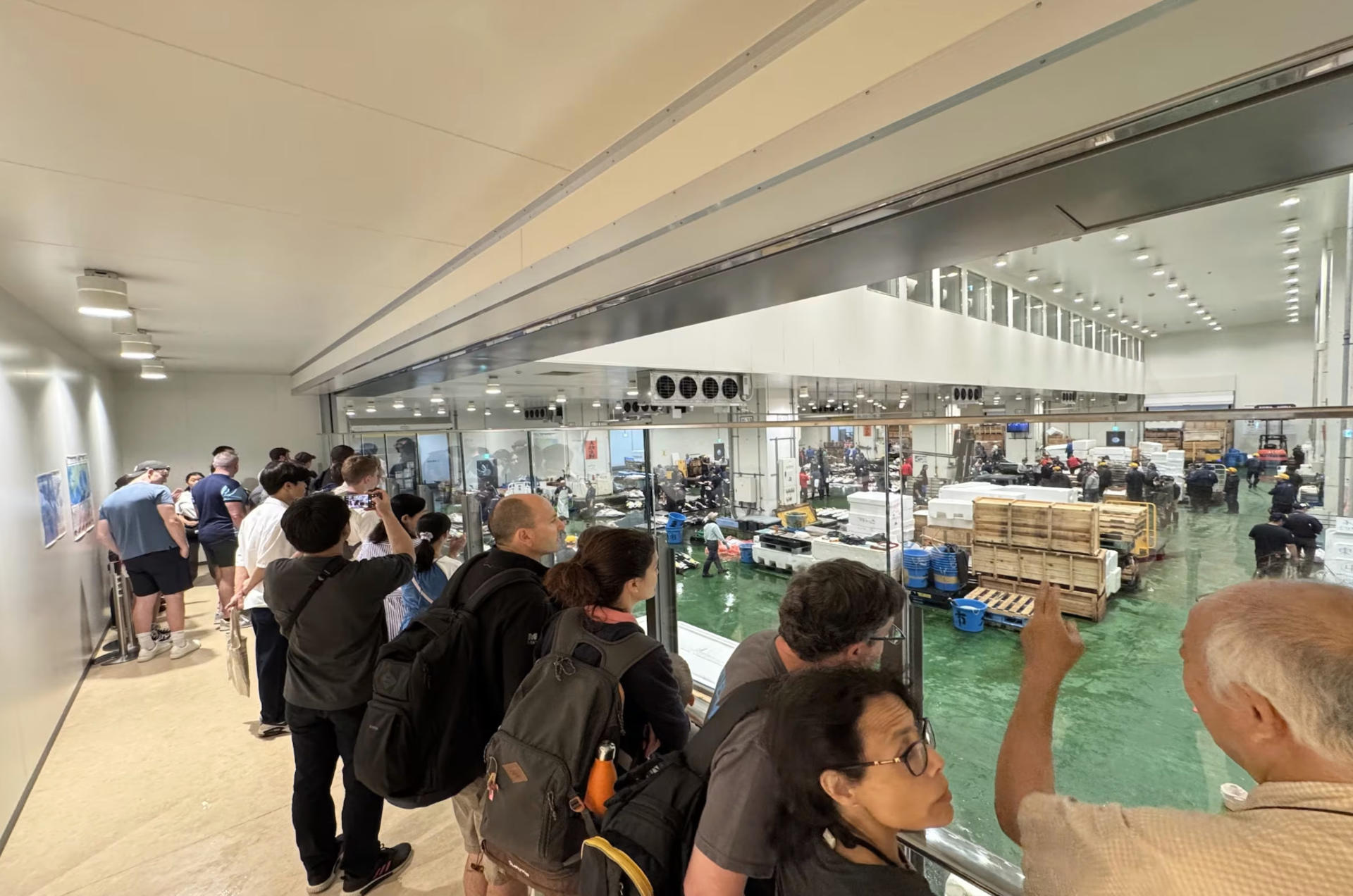 Tokyo Toyosu Tuna Auction + Breakfast (Sushi Dai or Bentomi) - Image 1