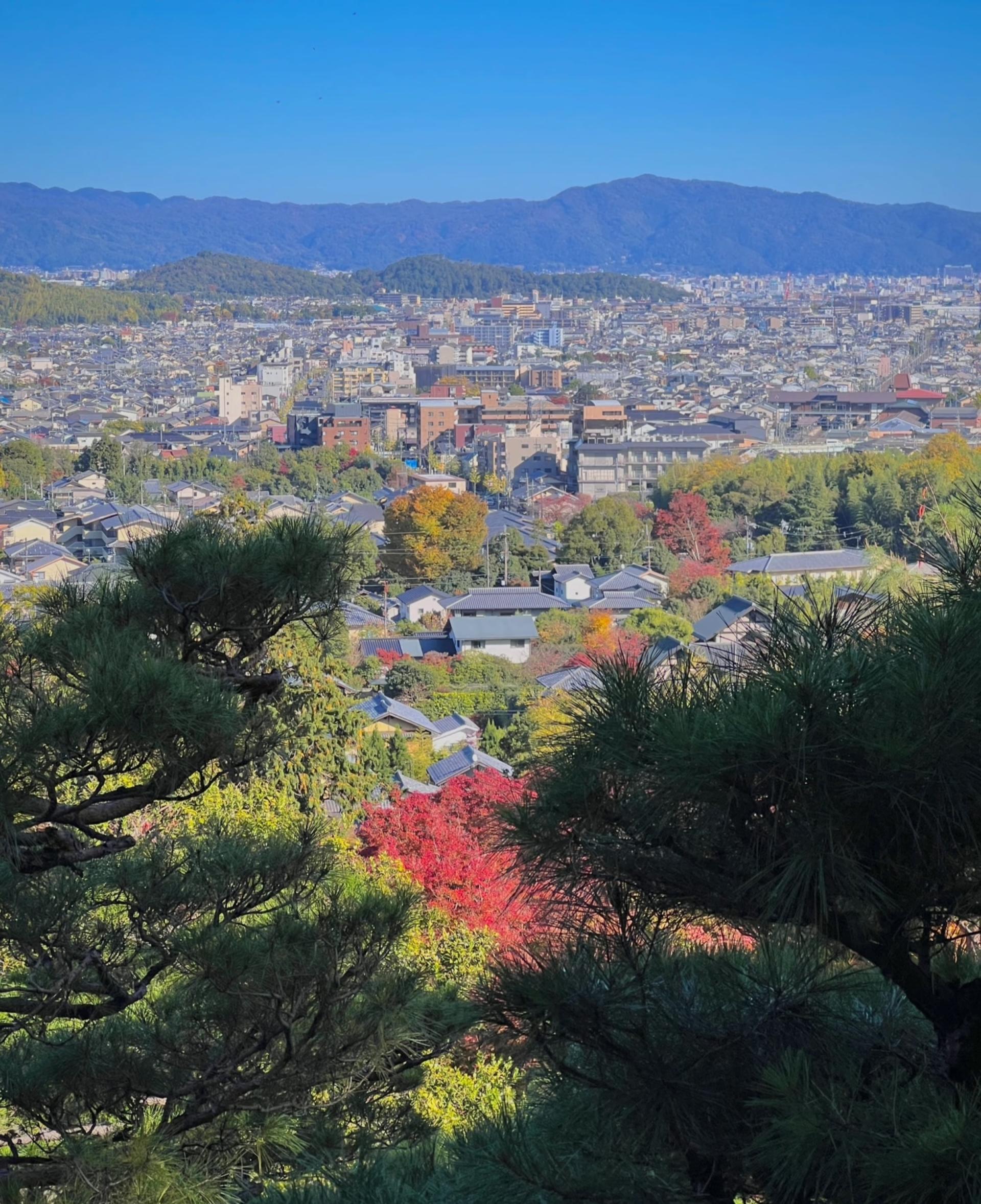 Kyoto one-day private tour (1~4 people) - Thumbnail 10