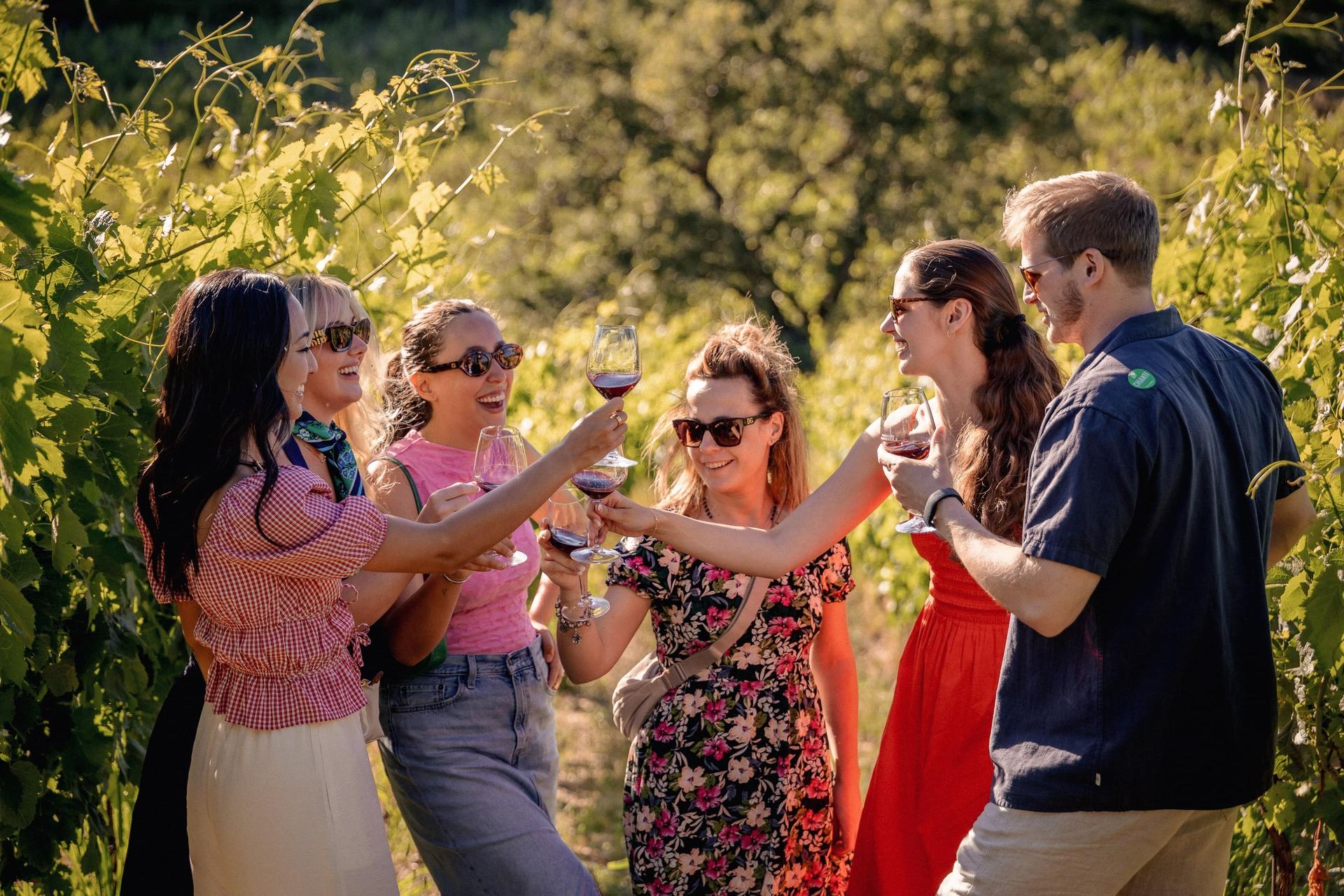 Chianti Wine Tastings Tour with Optional Cooking Experience - Thumbnail 5