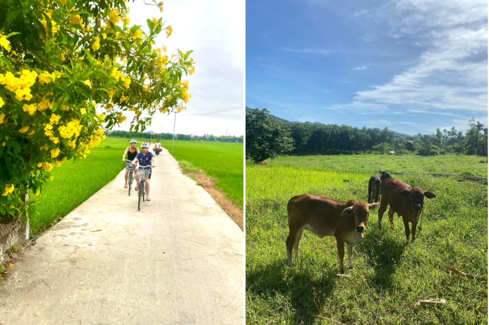 Da Nang Rural Villages Full-Day Bike Tour - Thumbnail 6