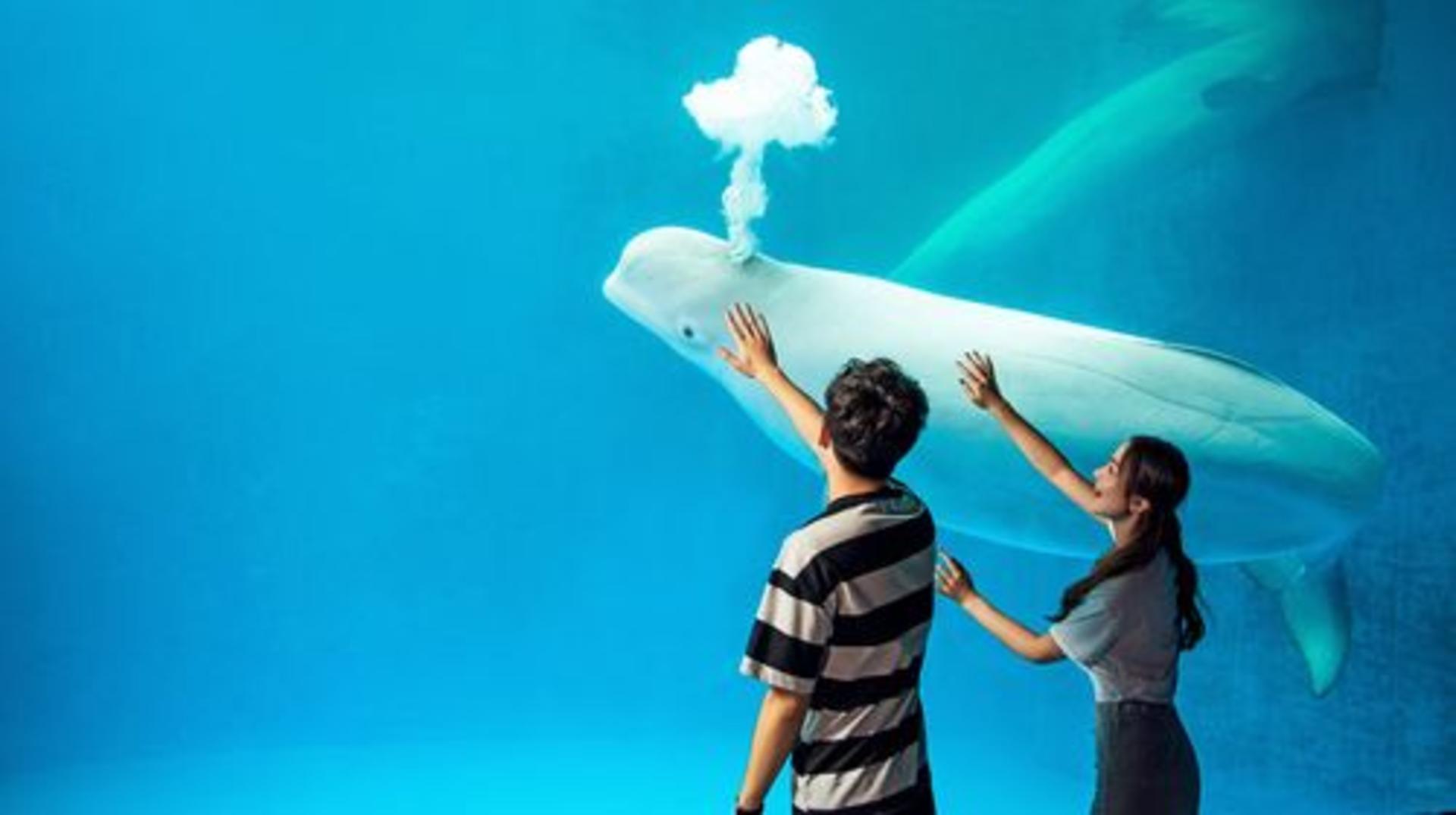 Chengdu Polar Ocean Park - Image 1