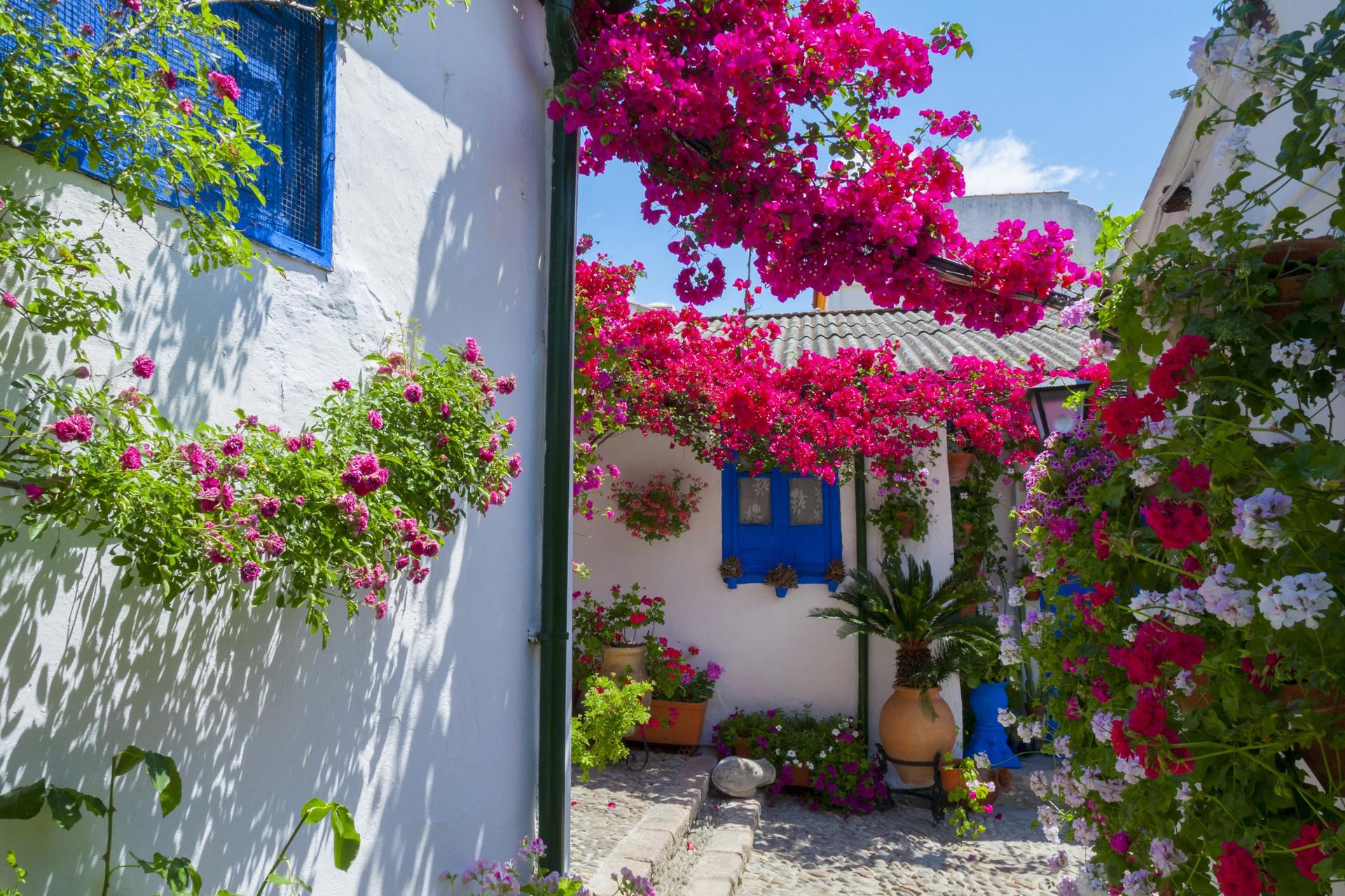 Patios of Cordoba Tour - Thumbnail 2