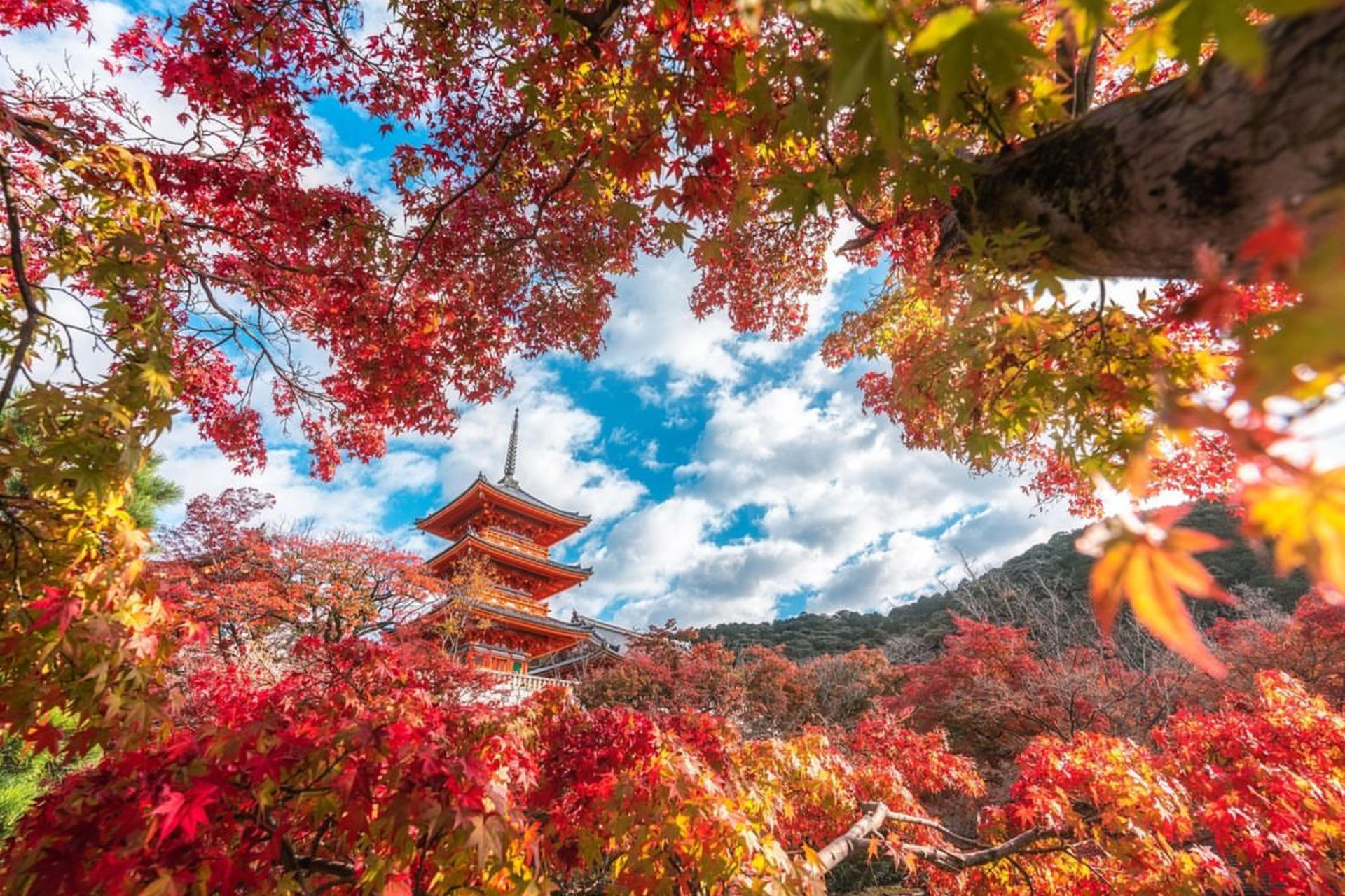 Kyoto Kinkaku-ji, Kiyomizu-dera, and Uji One-Day Tour - Thumbnail 6