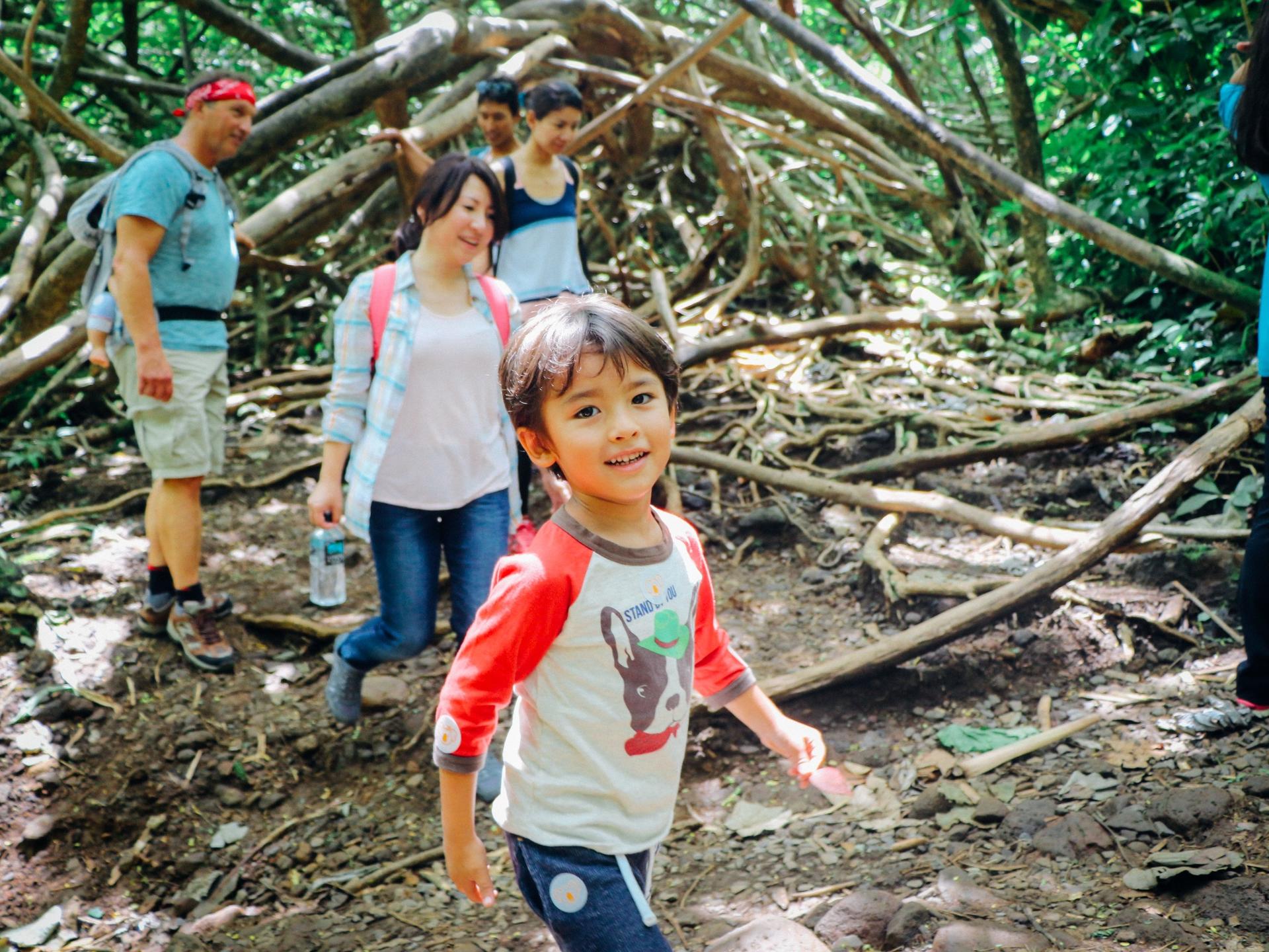 Manoa Falls Hiking Tour in Oahu - Thumbnail 6
