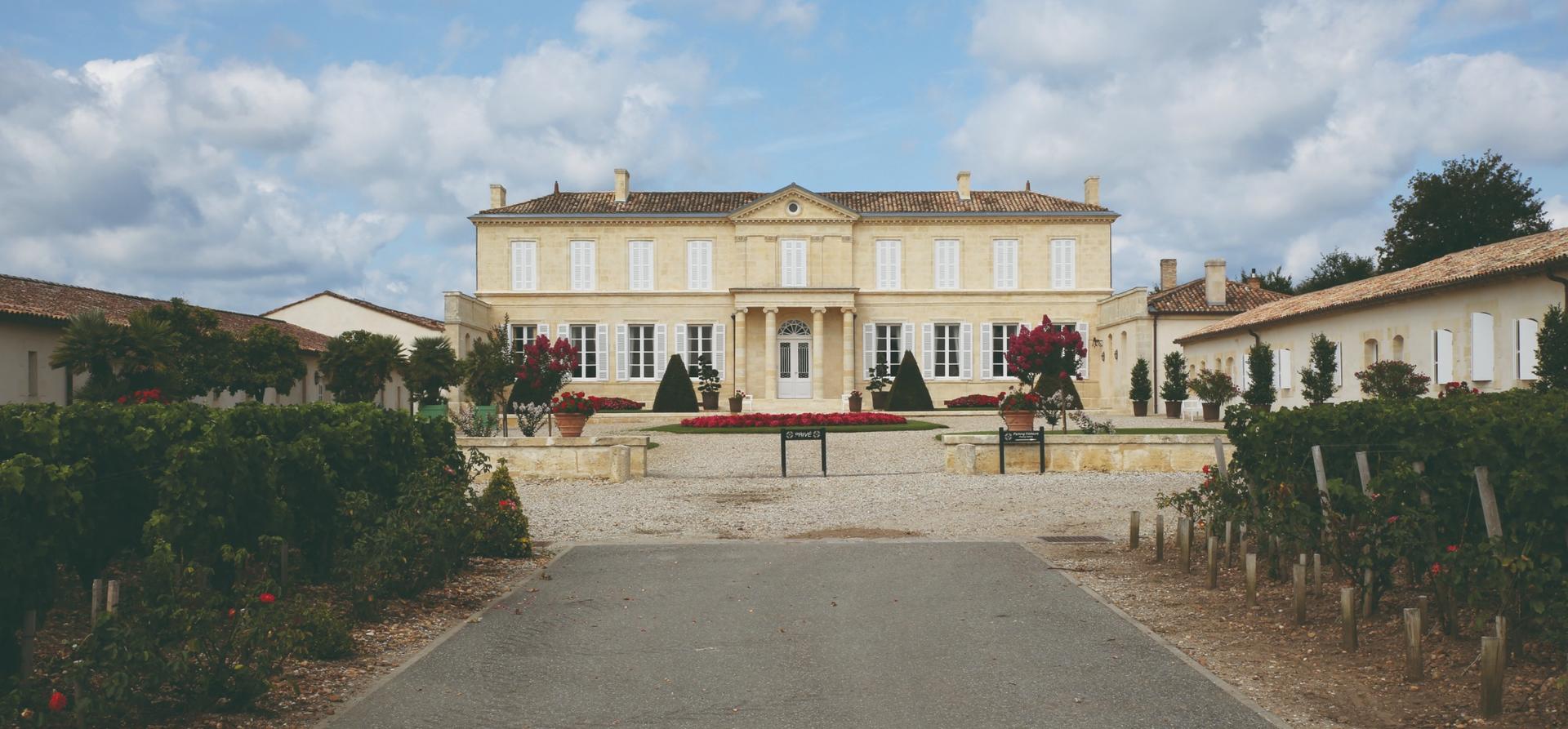 Medoc Full Day or Half Day Wine Tour from Bordeaux - Image 1