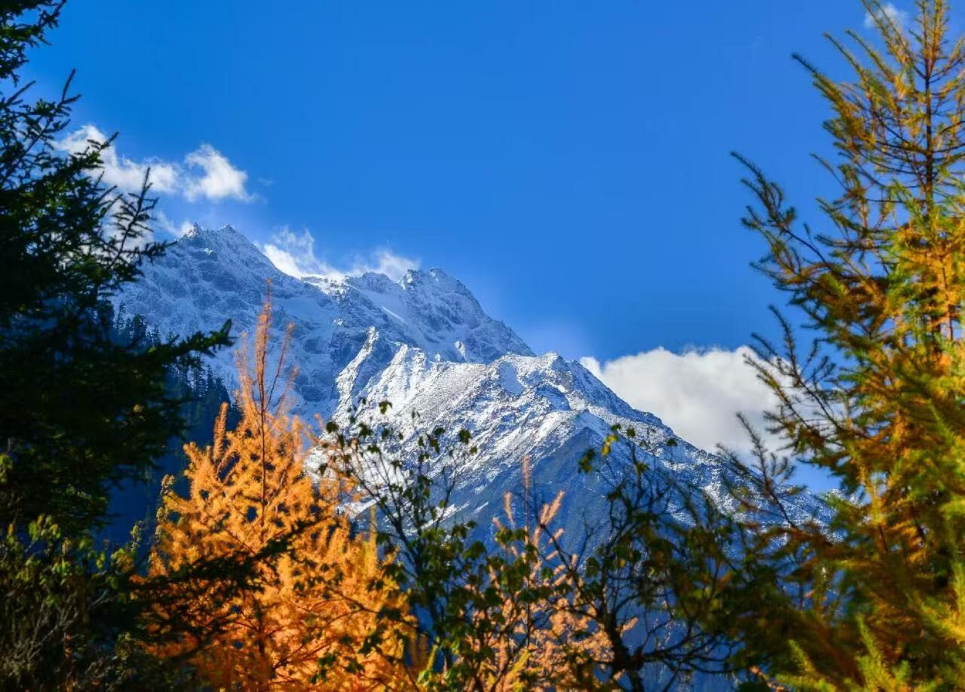 Sichuan Bipenggou & Dagu Glacier Pure Play 2-Day Tour - Thumbnail 4