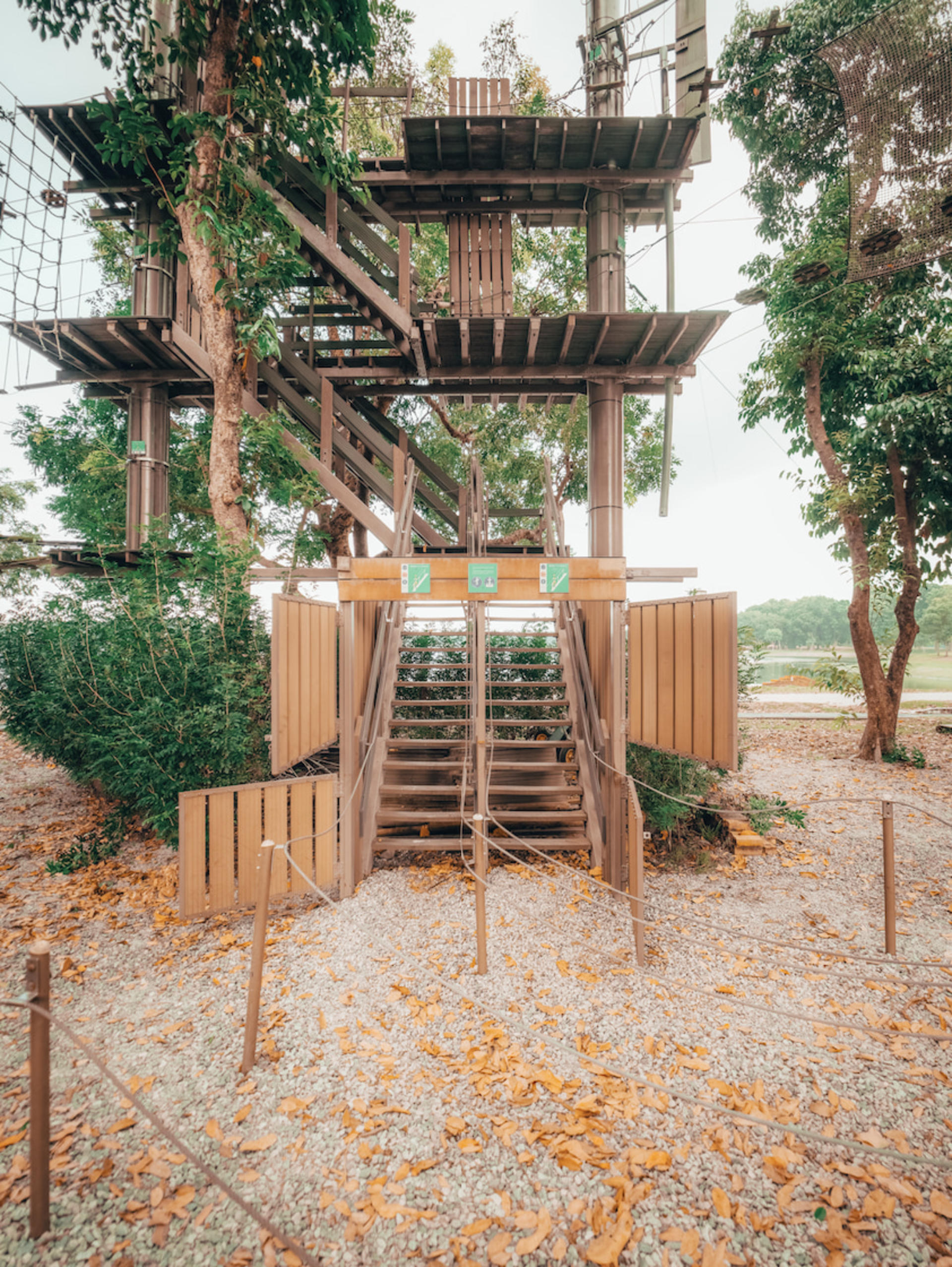Forest Adventure Treetop Adventure - Thumbnail 4