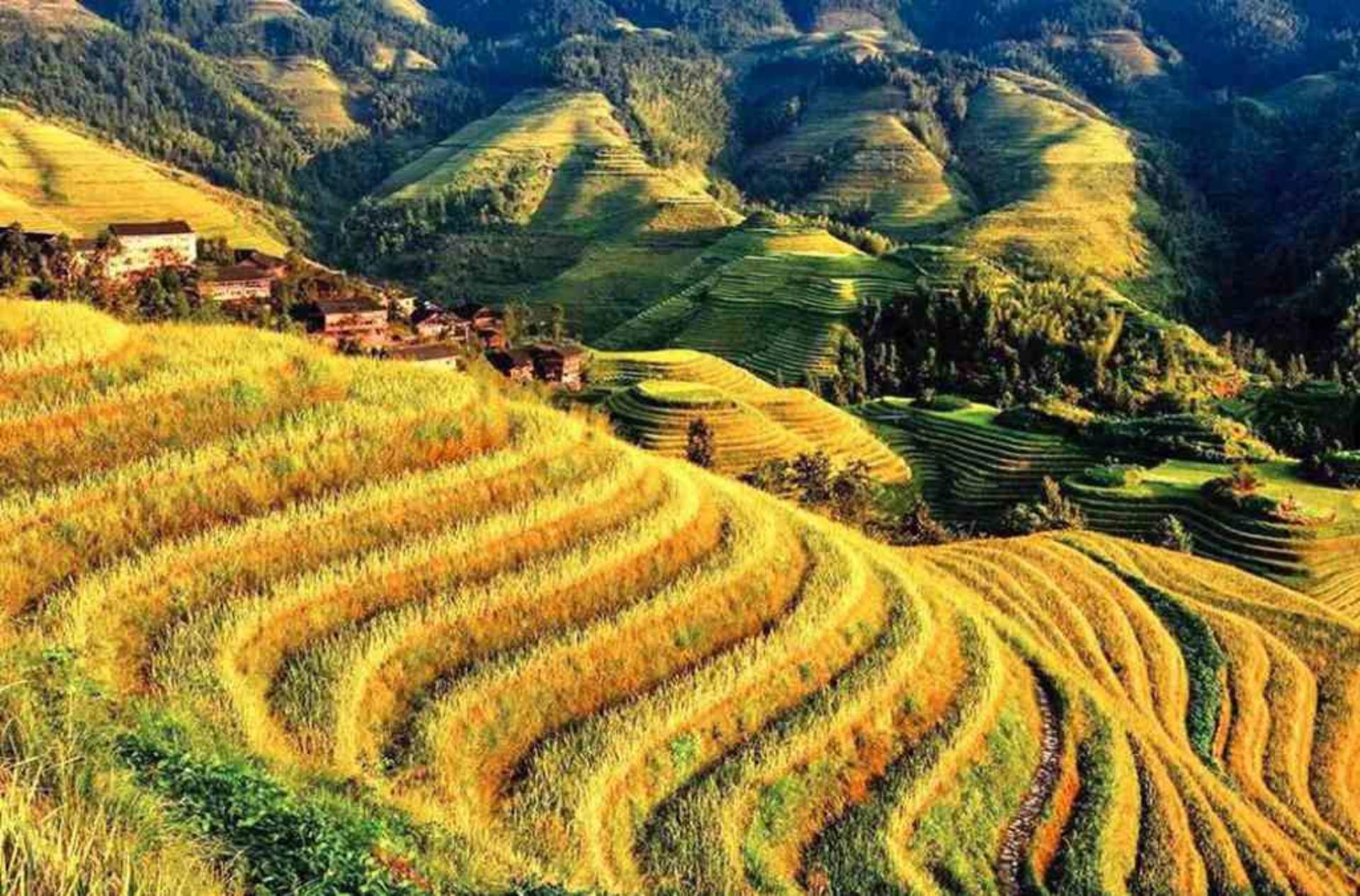 Guilin Departure Longji Terraces Ping'an Zhuang Village, Changfa Village, Jinkeng Terraces 1-Day Tour - Thumbnail 3