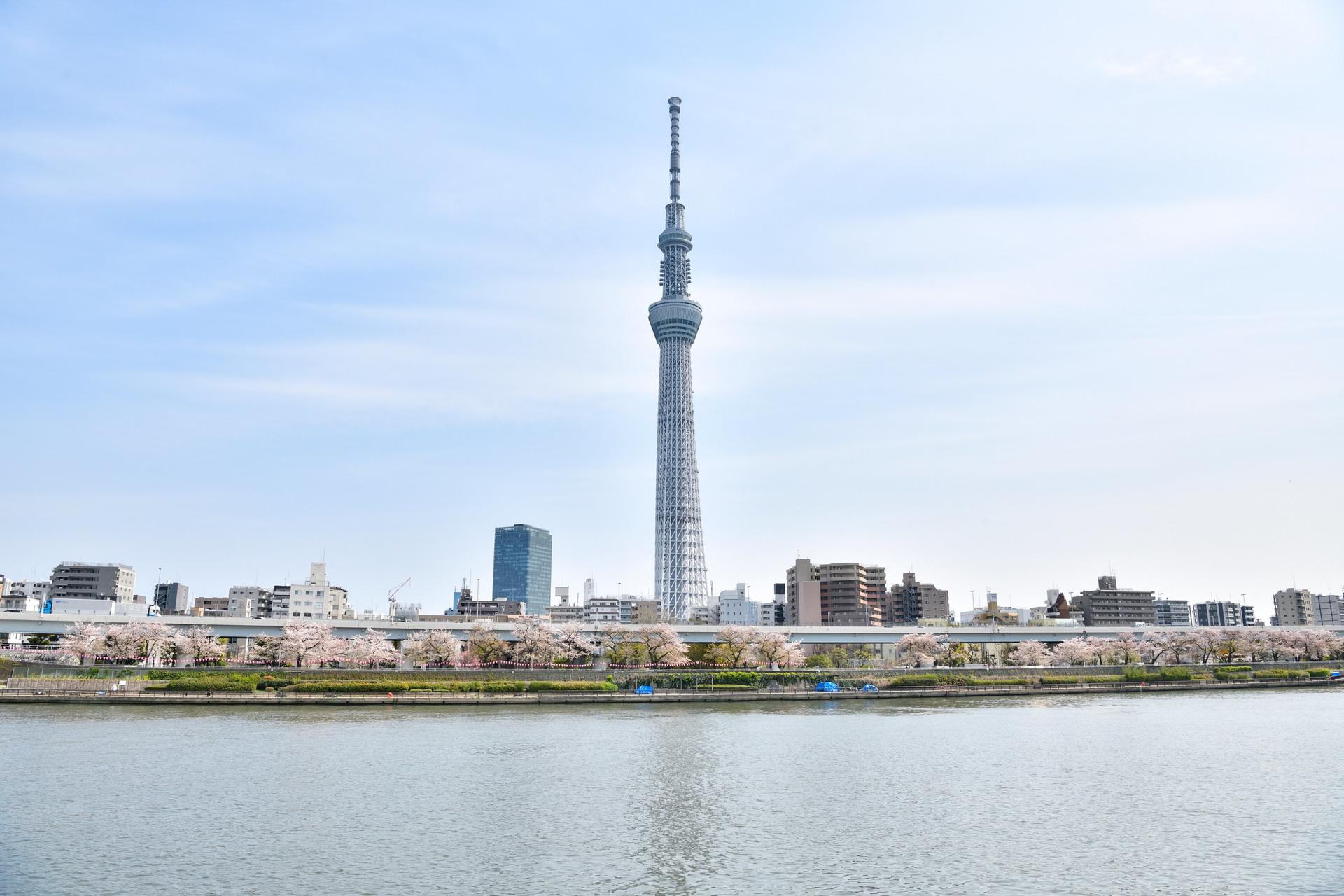 TOKYO SKYTREE® Ticket - Thumbnail 14