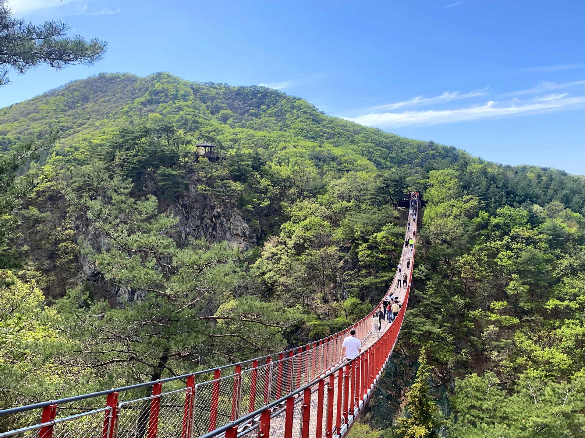 2 Days Top Attractions of Korea Tours (DMZ+Seoul City Tour) - Image 1