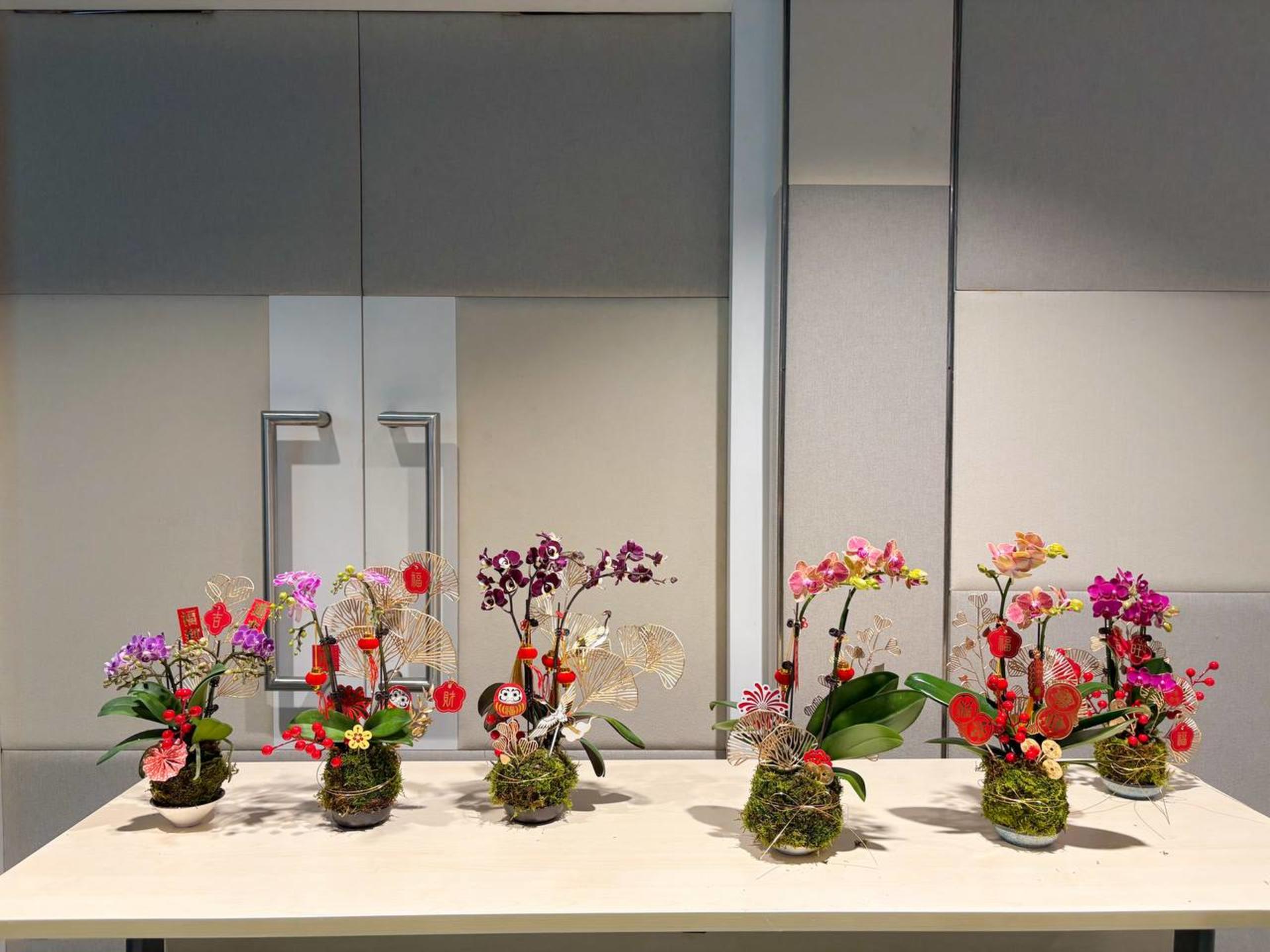 Kokedama Workshop - Thumbnail 27