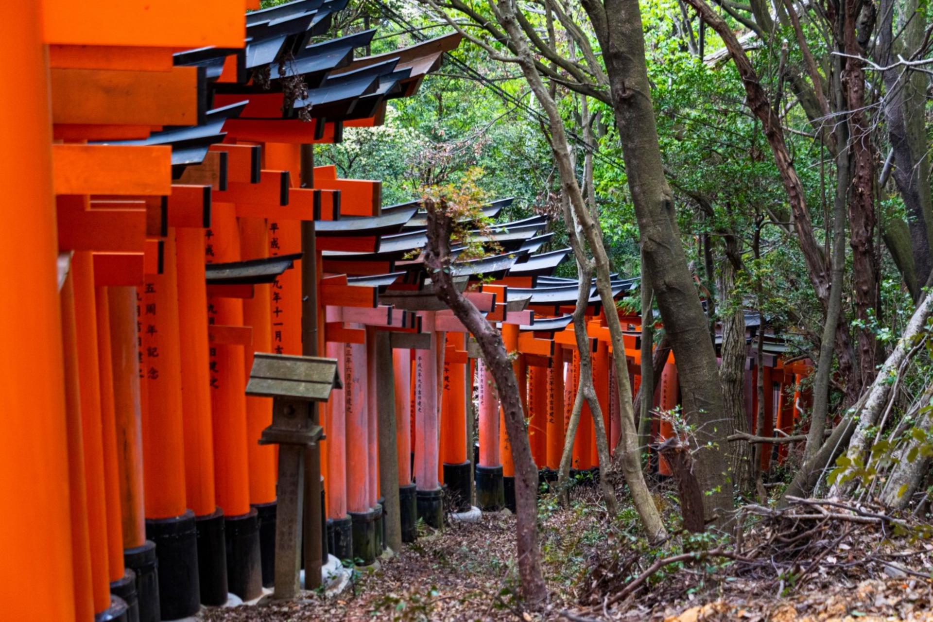 Kyoto Arashiyama, Nijo Castle, and Fushimi Inari One-Day Tour - Thumbnail 25