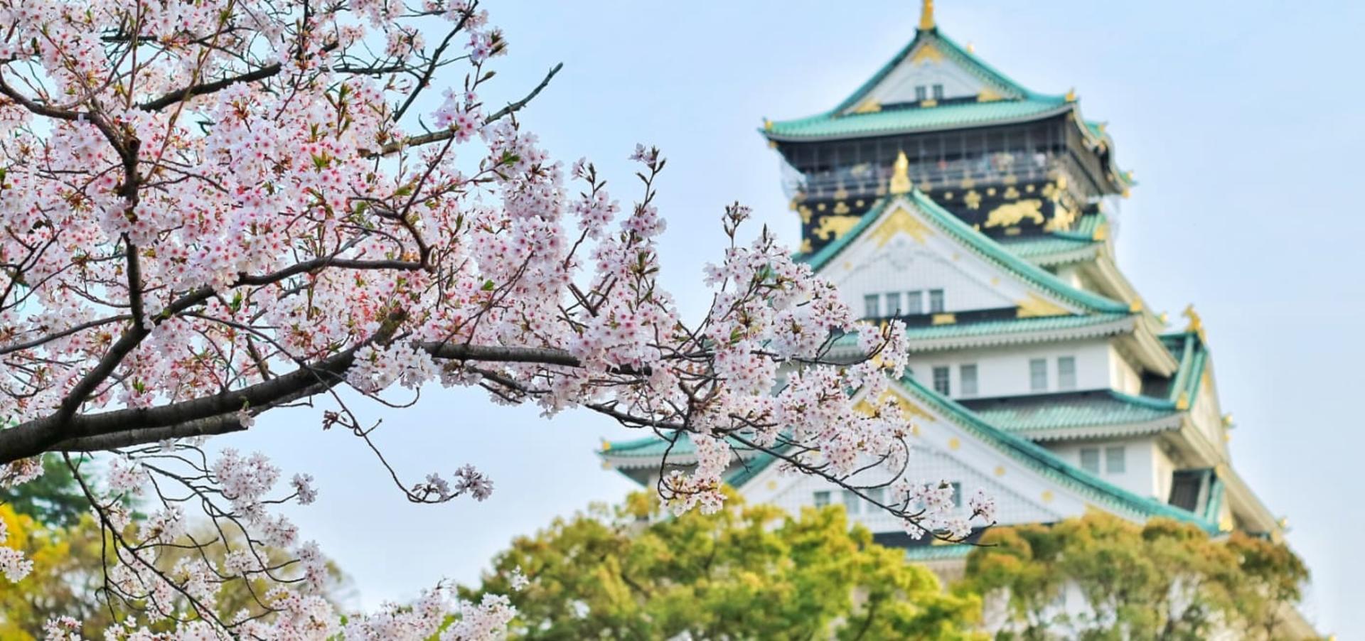 Osaka Private & Personalized City Highlights and Hidden Gems Tour - Thumbnail 3
