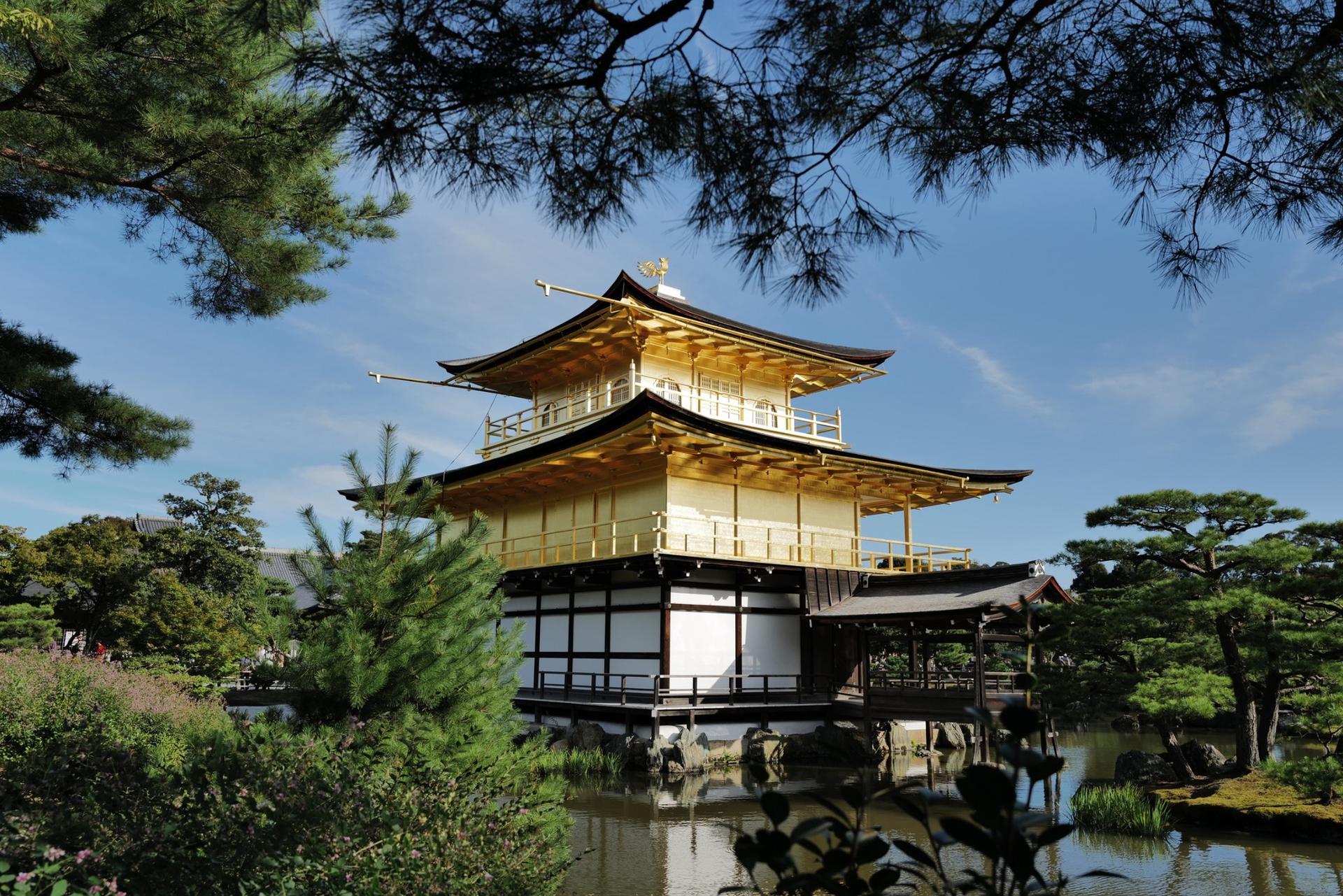 Kyoto Early Bird Tour Tokyo Round Trip Shinkansen Option - Thumbnail 4