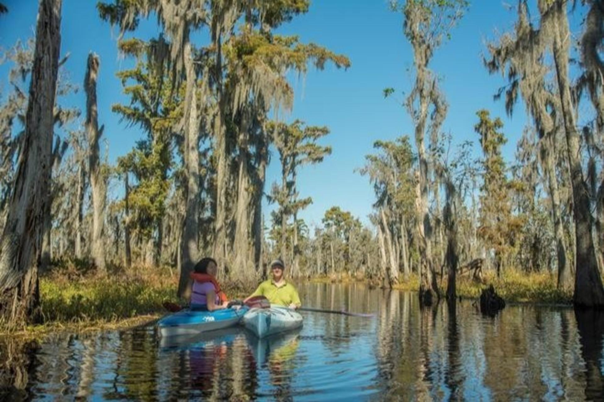 Manchac Magic Kayak Tour - Thumbnail 6