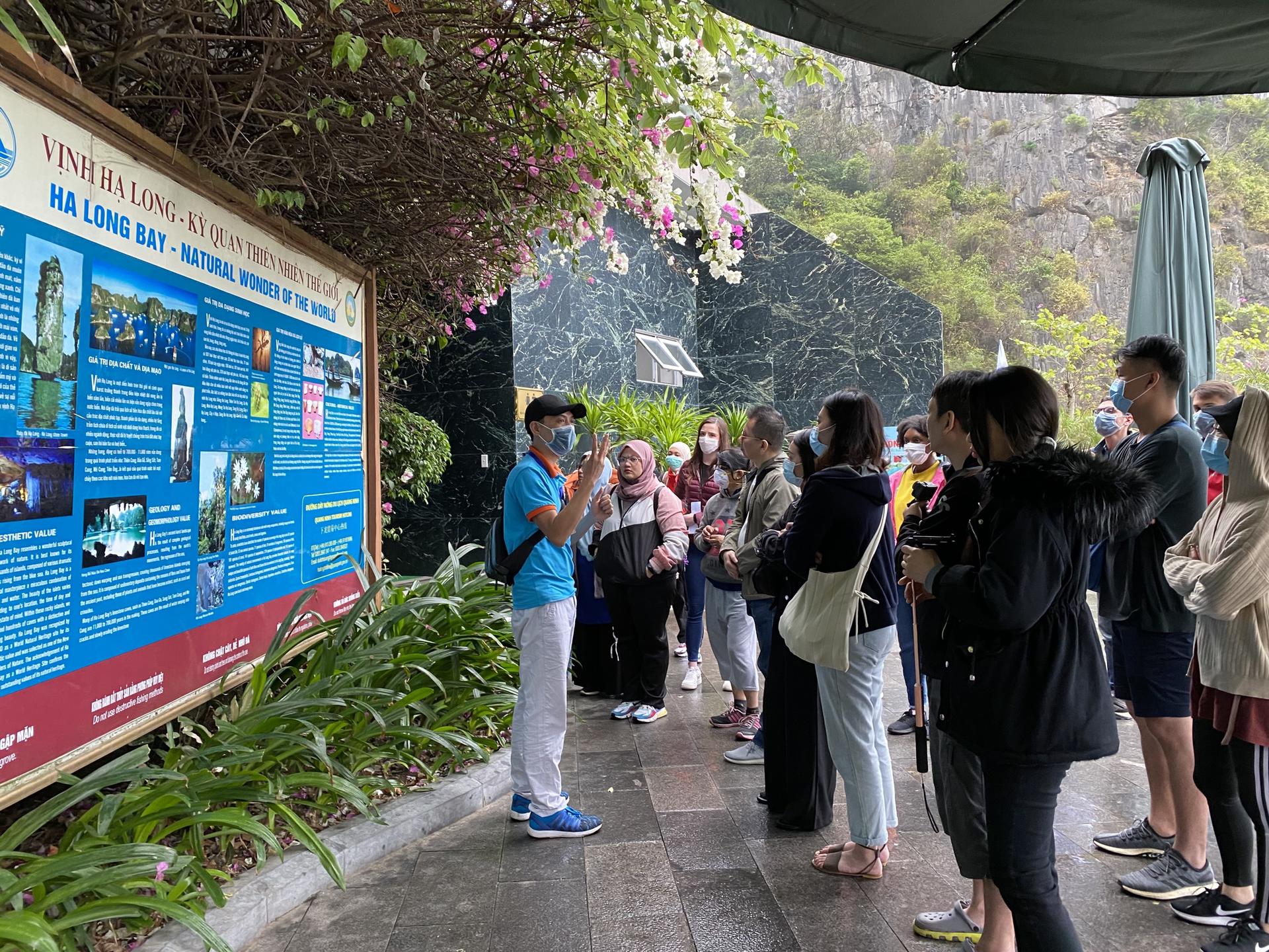 Dragonfly Day Cruise: Ha Long Bay, Thien Cung Cave, Kayaking - Thumbnail 5