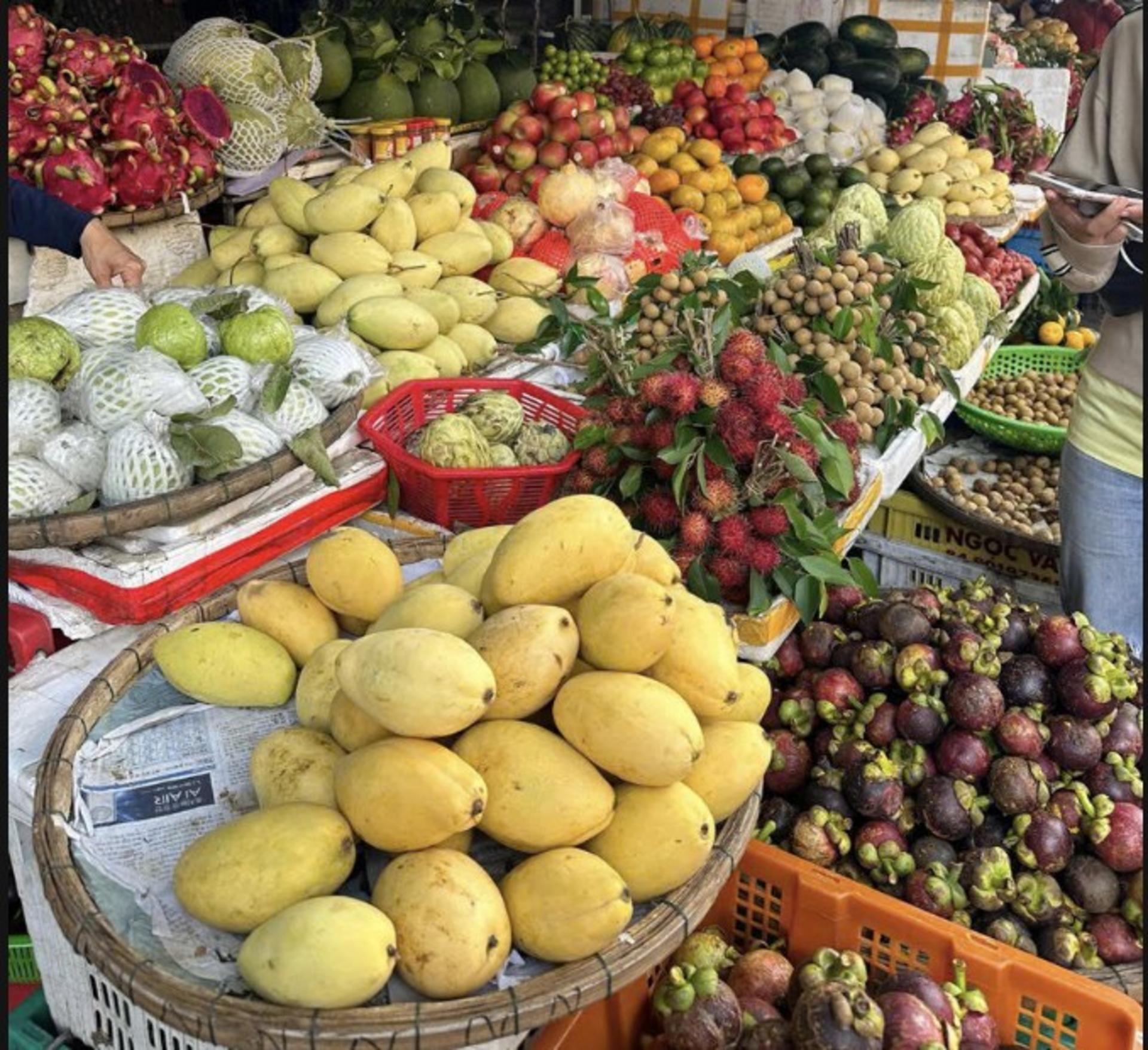Vietnamese Cooking Class, Market Tour & Coconut Forest Basket Boat  - Thumbnail 4