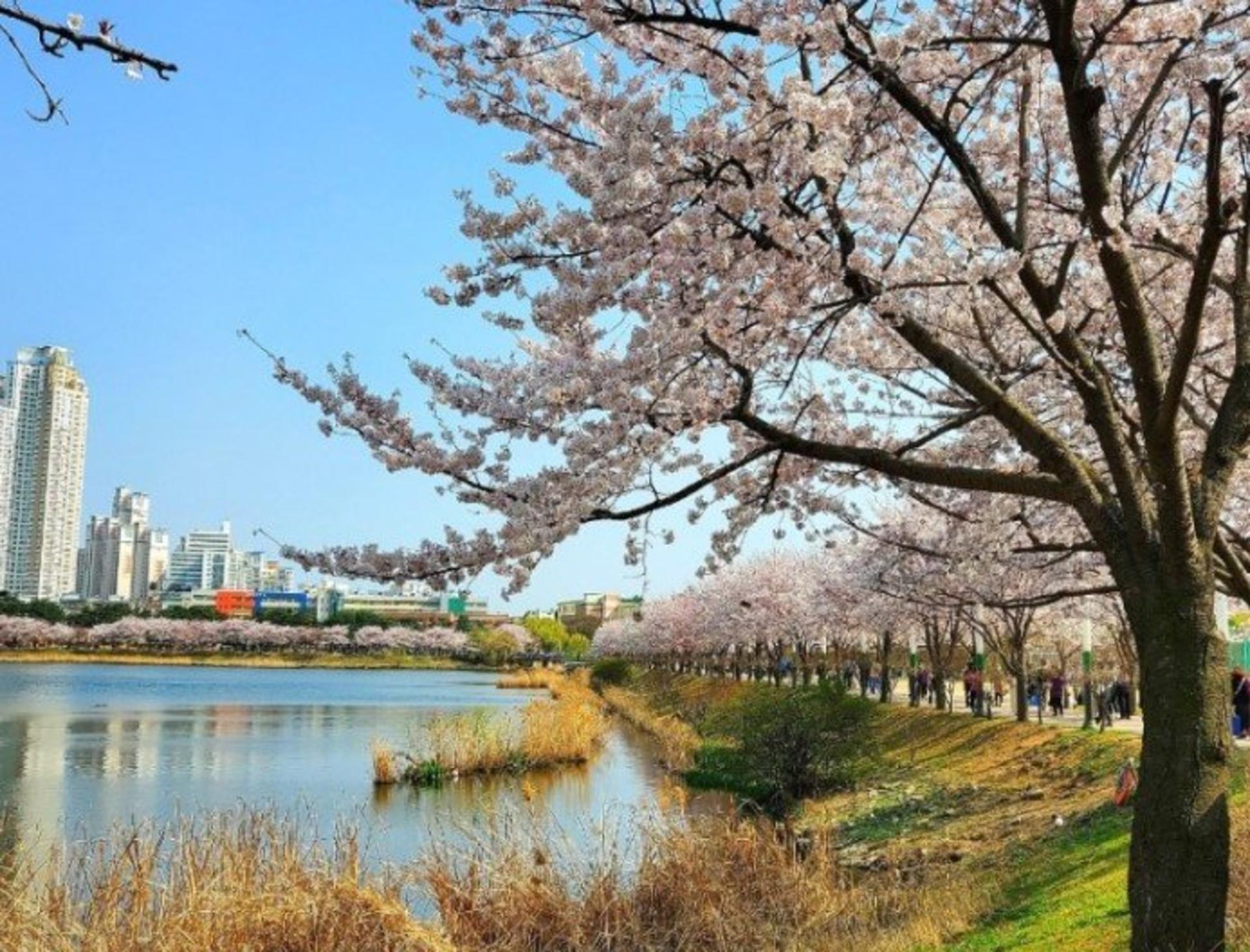 Suwon Private Tour | Day & Night Experience with Photographer Option - Thumbnail 5