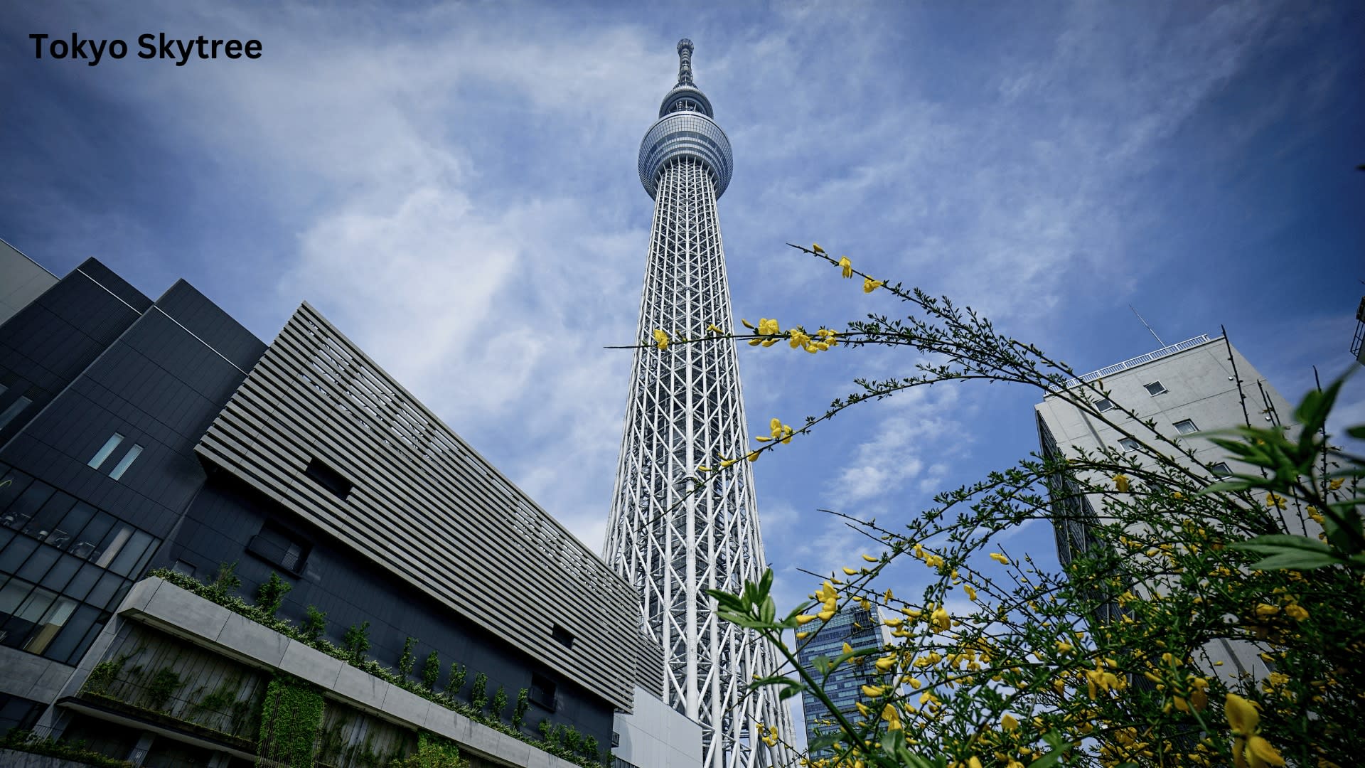 Tokyo Private Tours - Trips to Tokyo One-day Private & Customizable Tour - Thumbnail 3
