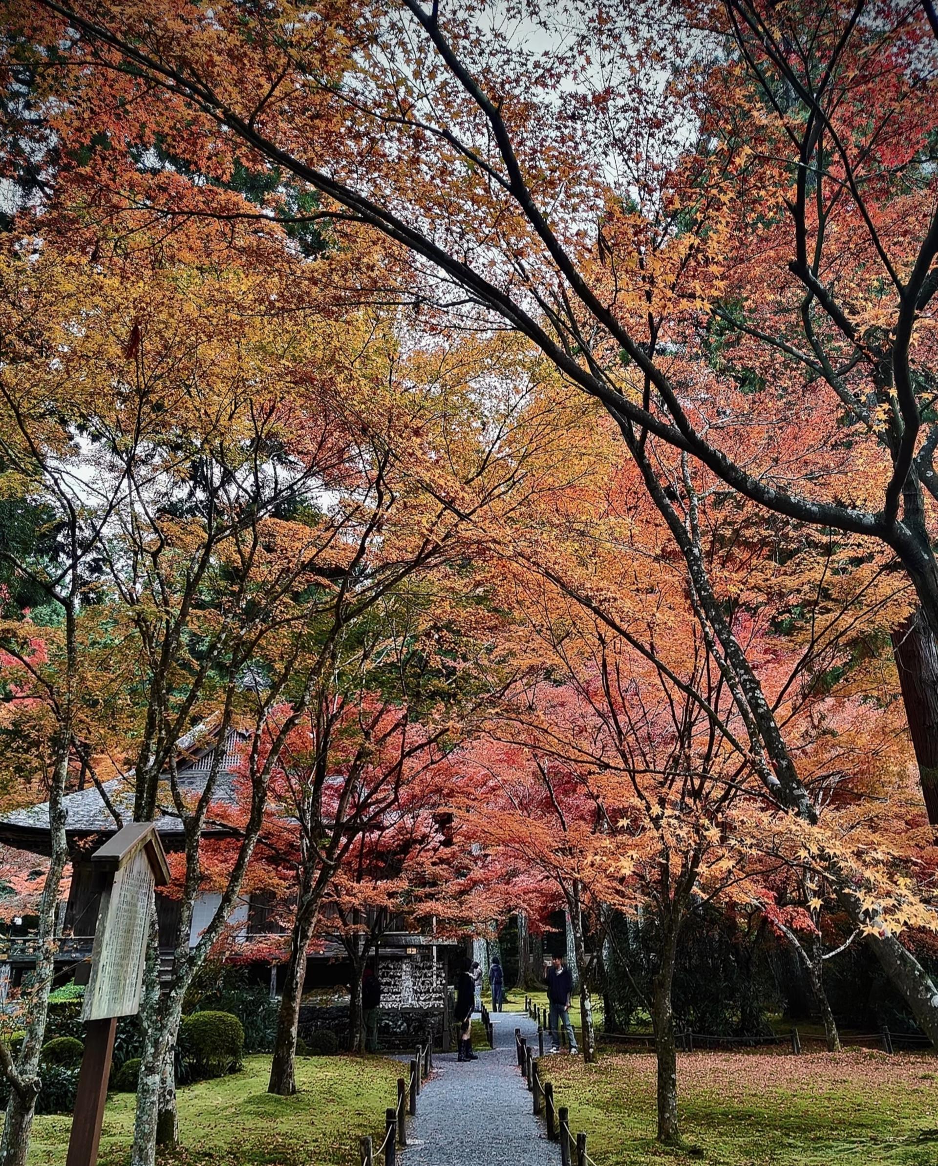 Kyoto one-day private tour (1~4 people) - Thumbnail 35