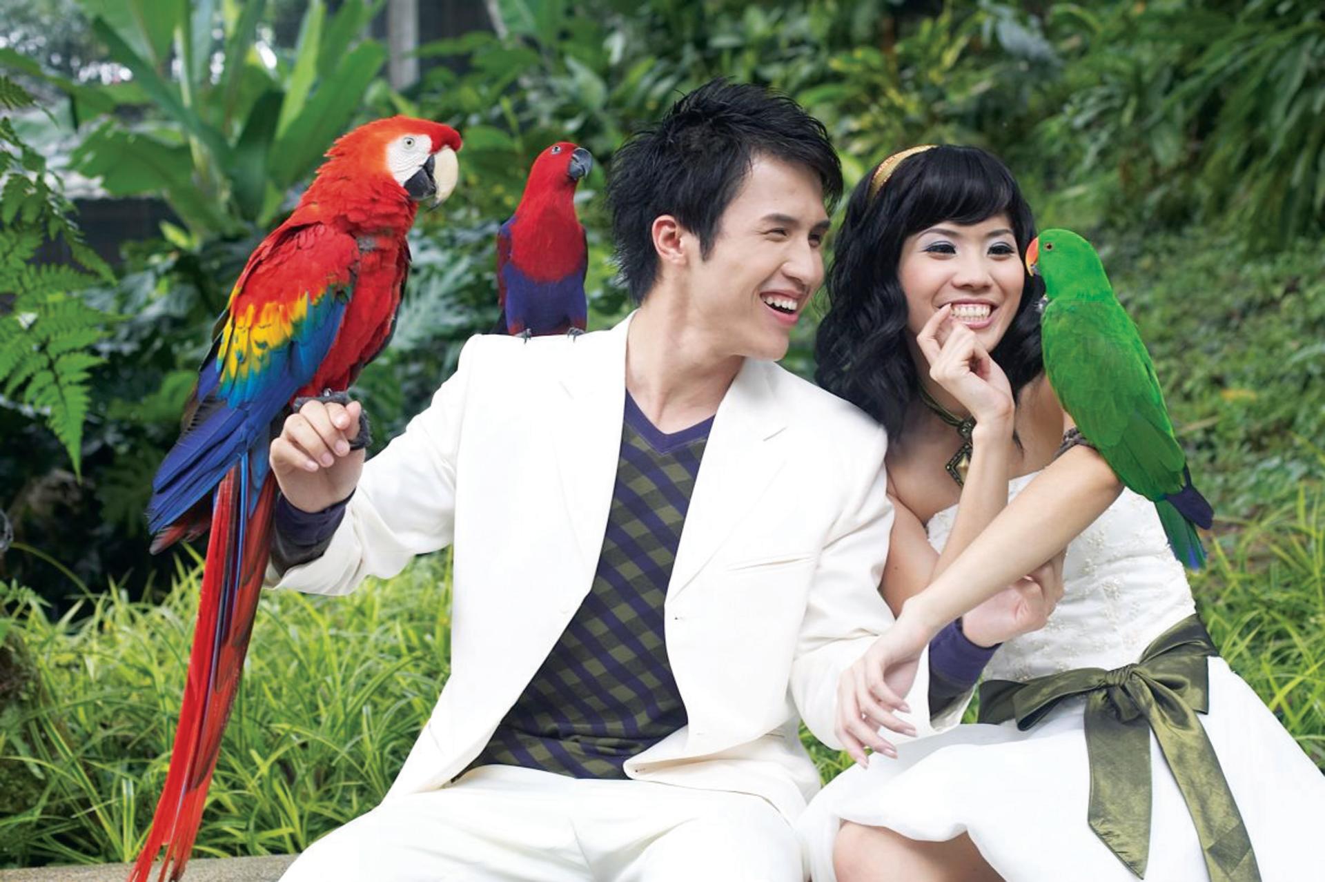 KL Bird Park Admission Ticket With One Way Transfer - Thumbnail 6