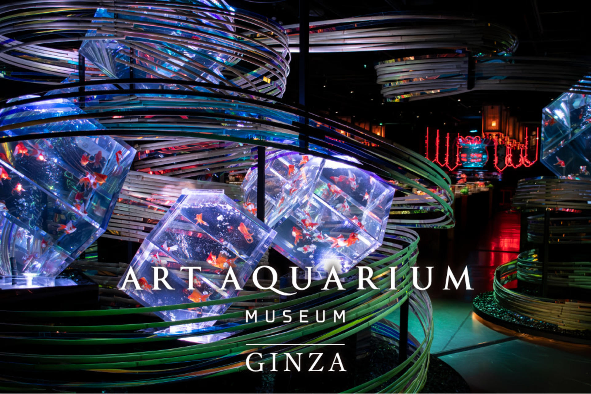 Art Aquarium Museum GINZA Ticket - Image 1